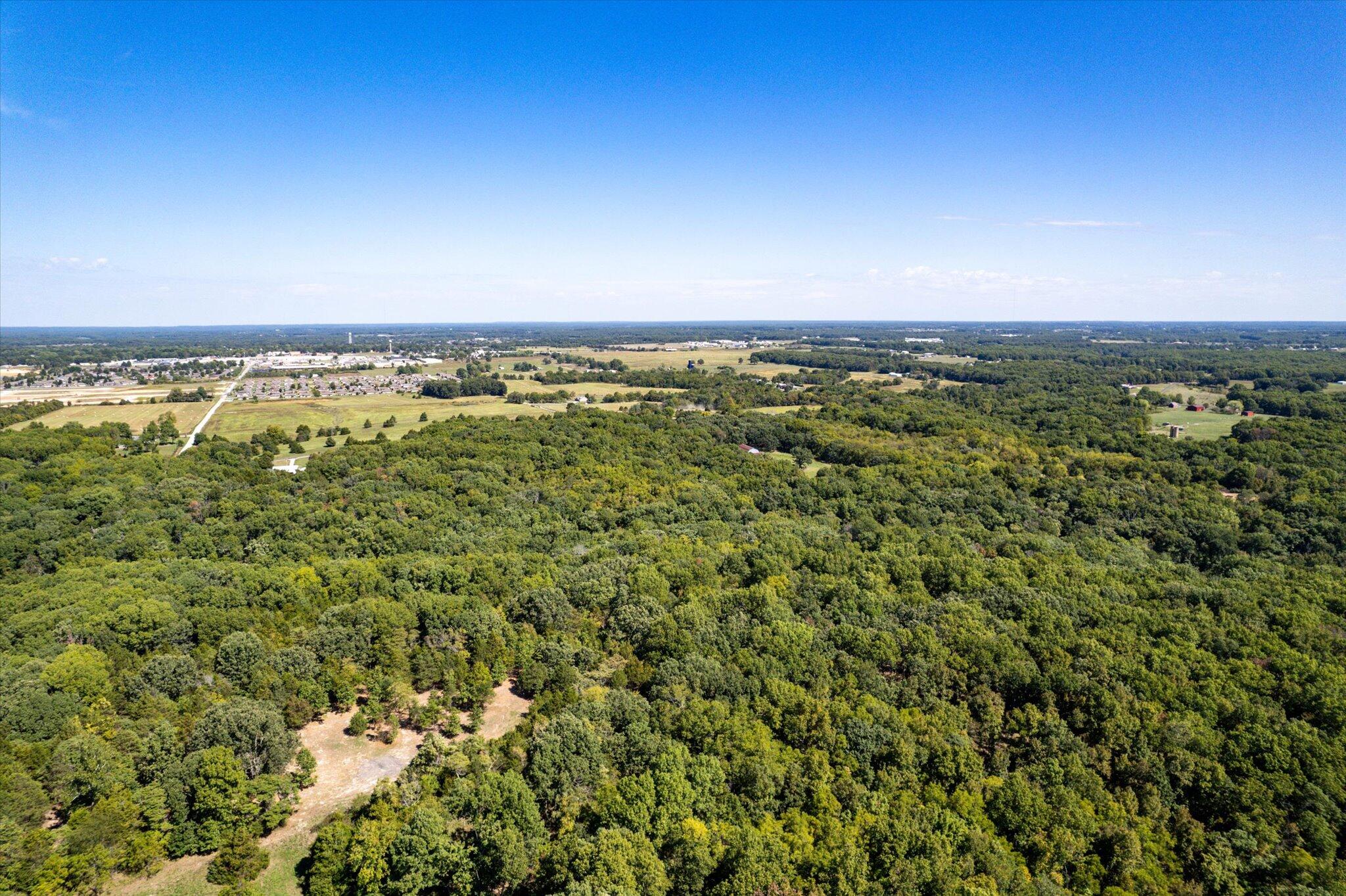 Photo 9 - Land for sale – 000  Watts Road  Rogersville, MO