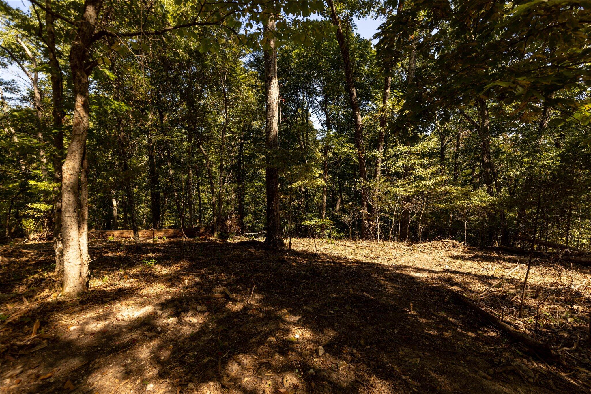 Photo 50 - Land for sale – 000  Watts Road  Rogersville, MO