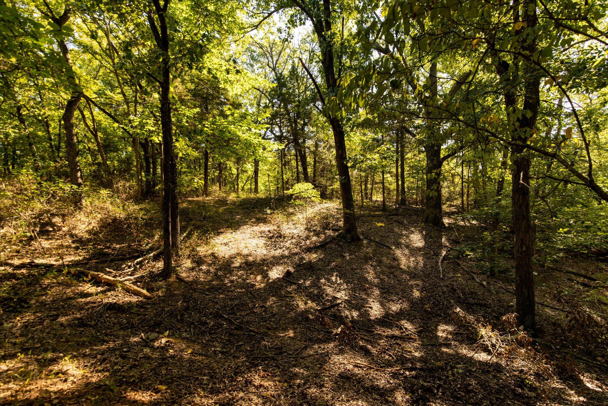 Photo 27 - Land for sale – 000  Watts Road  Rogersville, MO