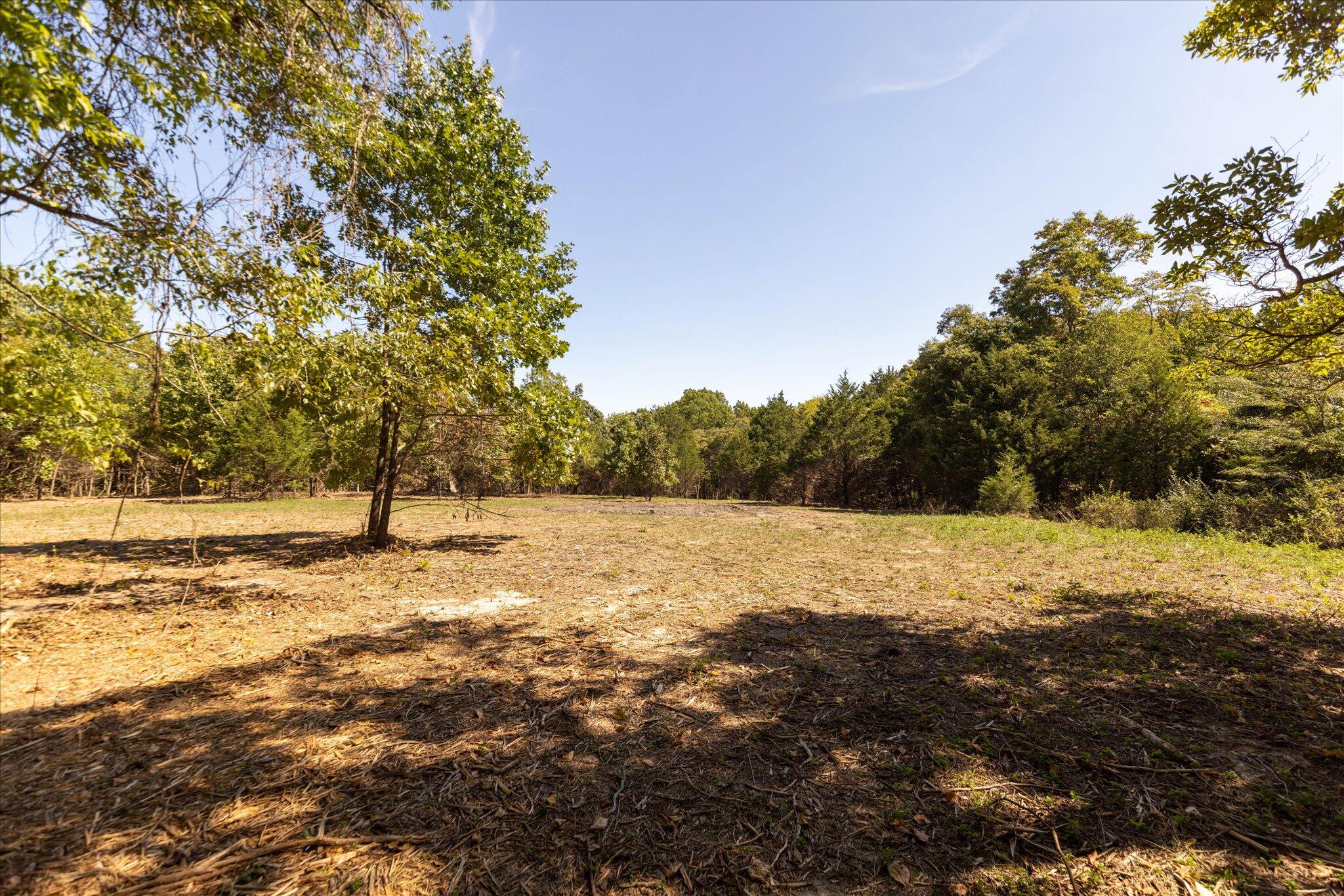 Photo 41 - Land for sale – 000  Watts Road  Rogersville, MO