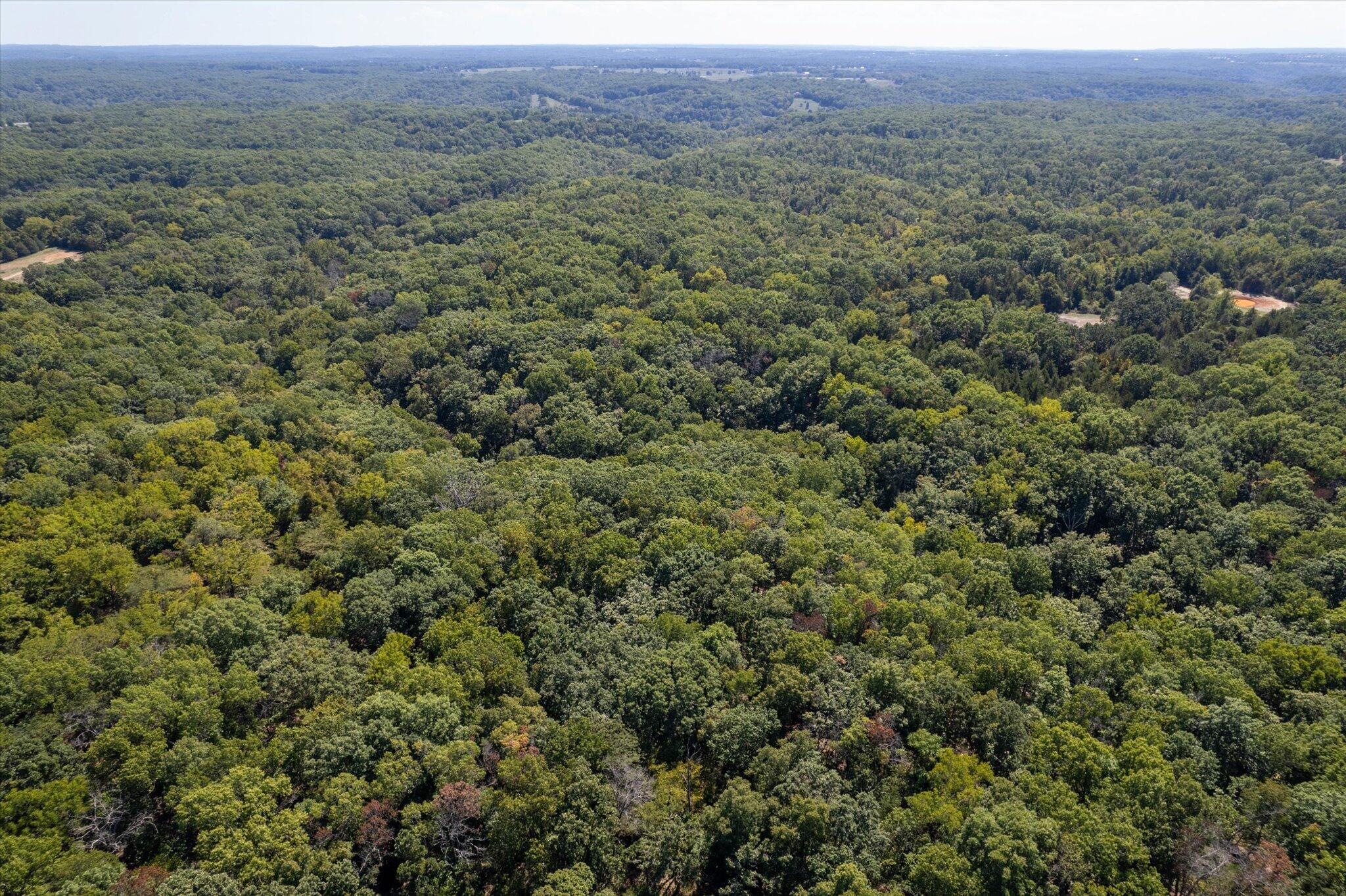 Photo 3 - Land for sale – 000  Watts Road  Rogersville, MO