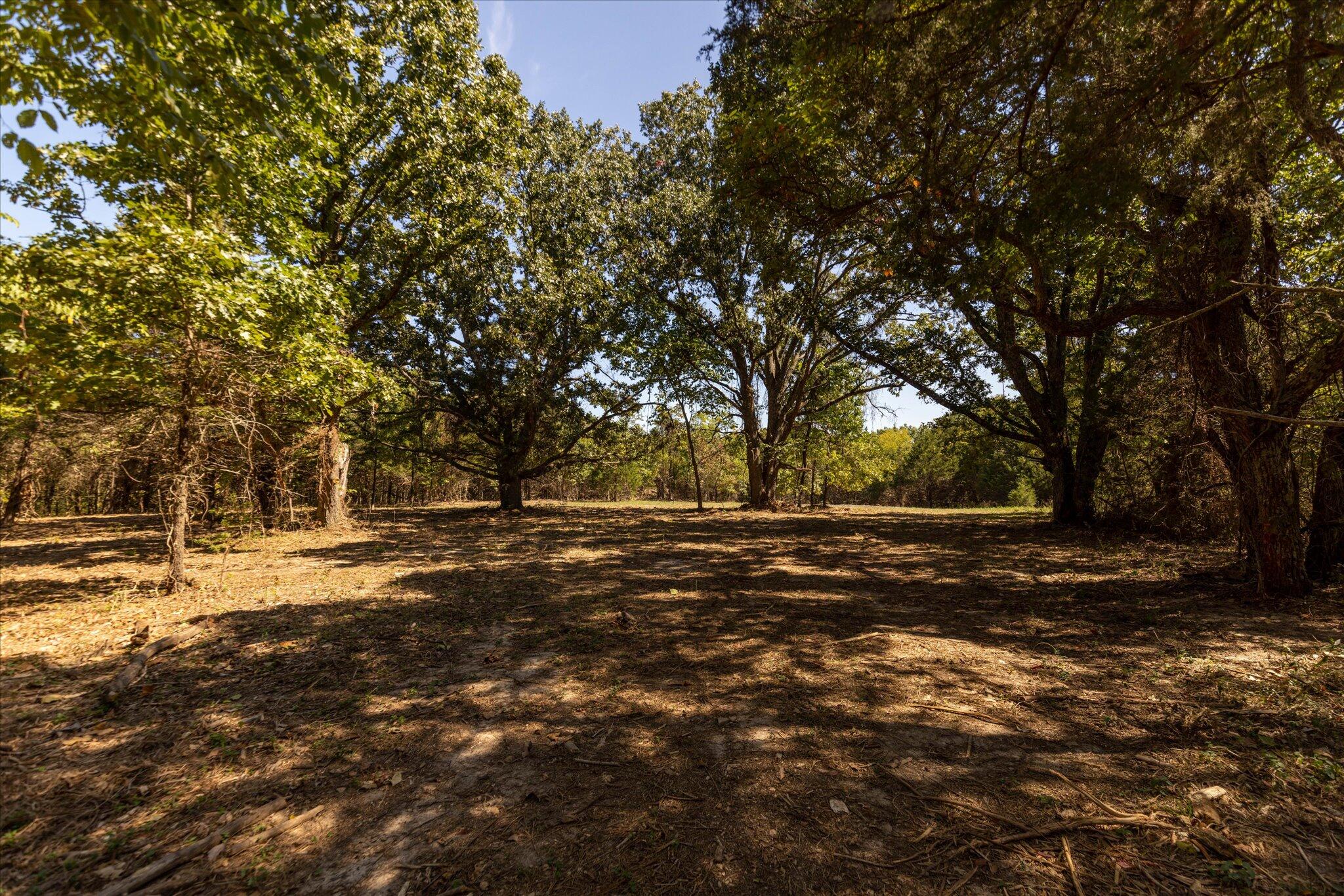 Photo 40 - Land for sale – 000  Watts Road  Rogersville, MO