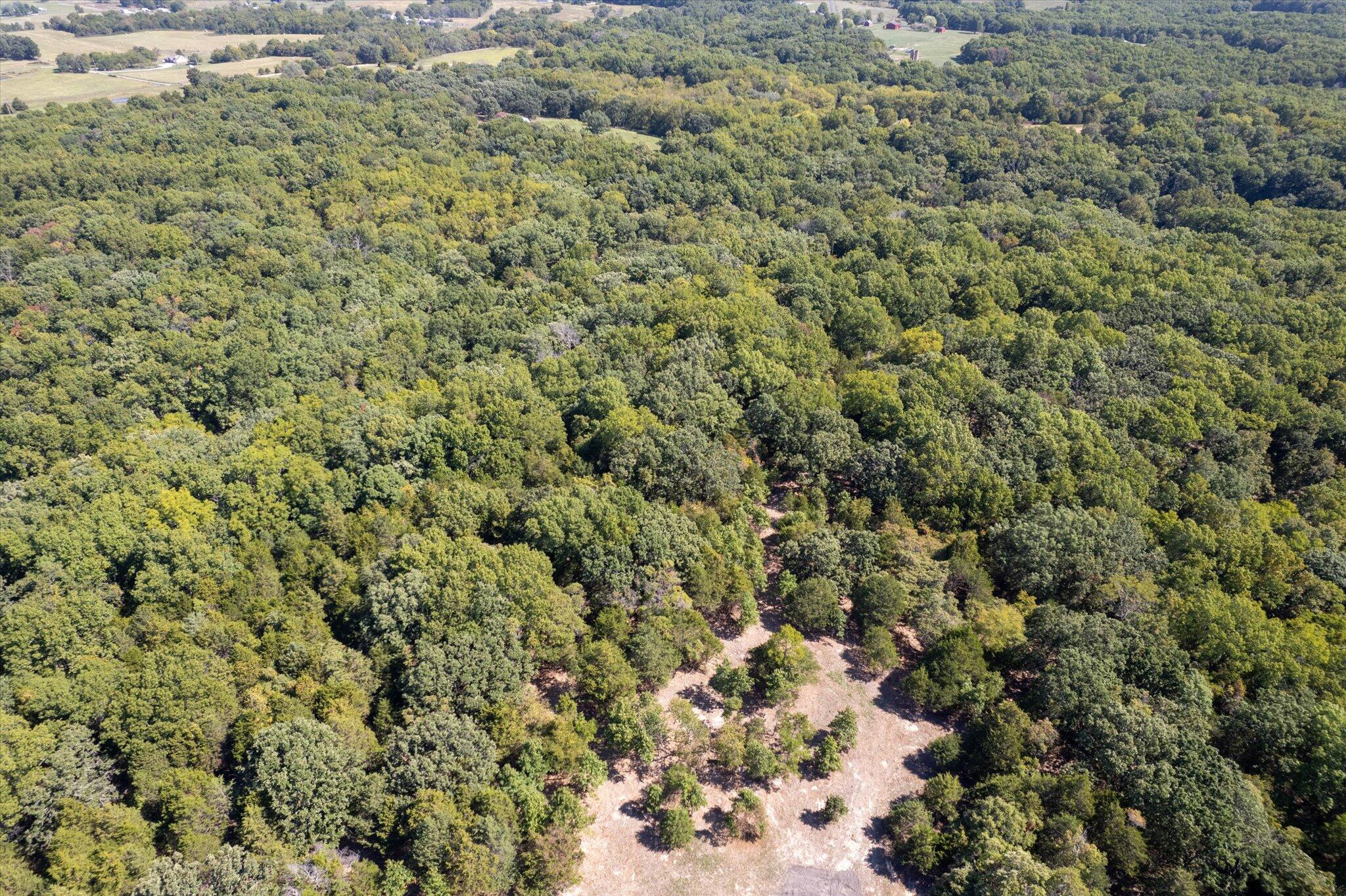 Photo 10 - Land for sale – 000  Watts Road  Rogersville, MO