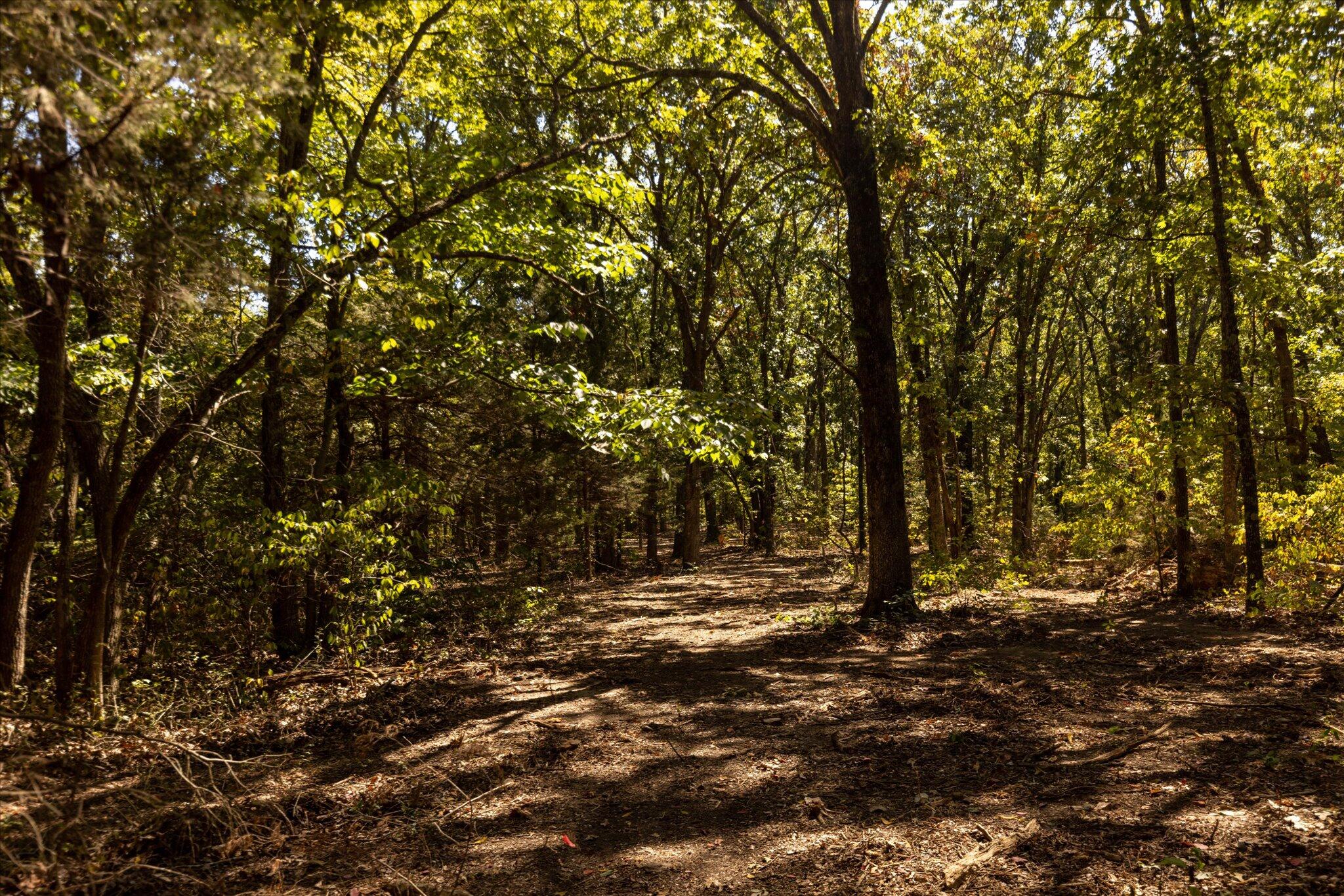 Photo 44 - Land for sale – 000  Watts Road  Rogersville, MO