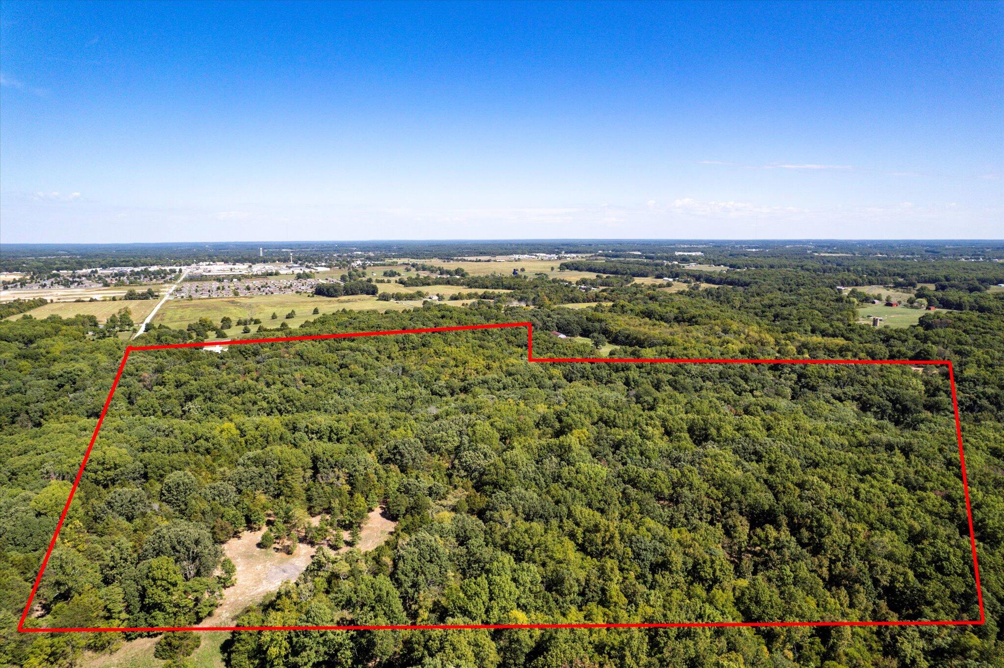 Land for sale – 000  Watts Road  Rogersville, MO