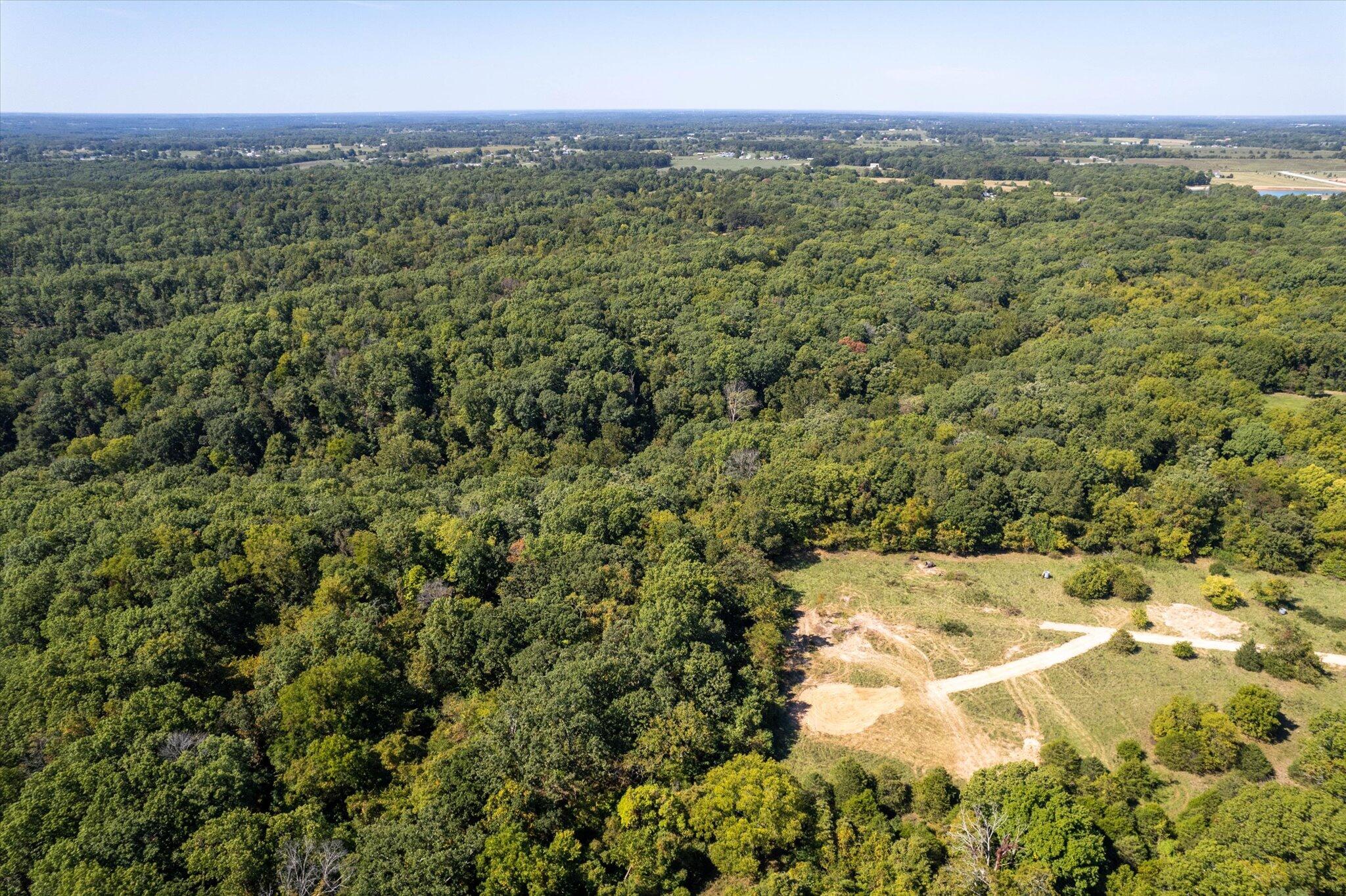 Photo 7 - Land for sale – 000  Watts Road  Rogersville, MO