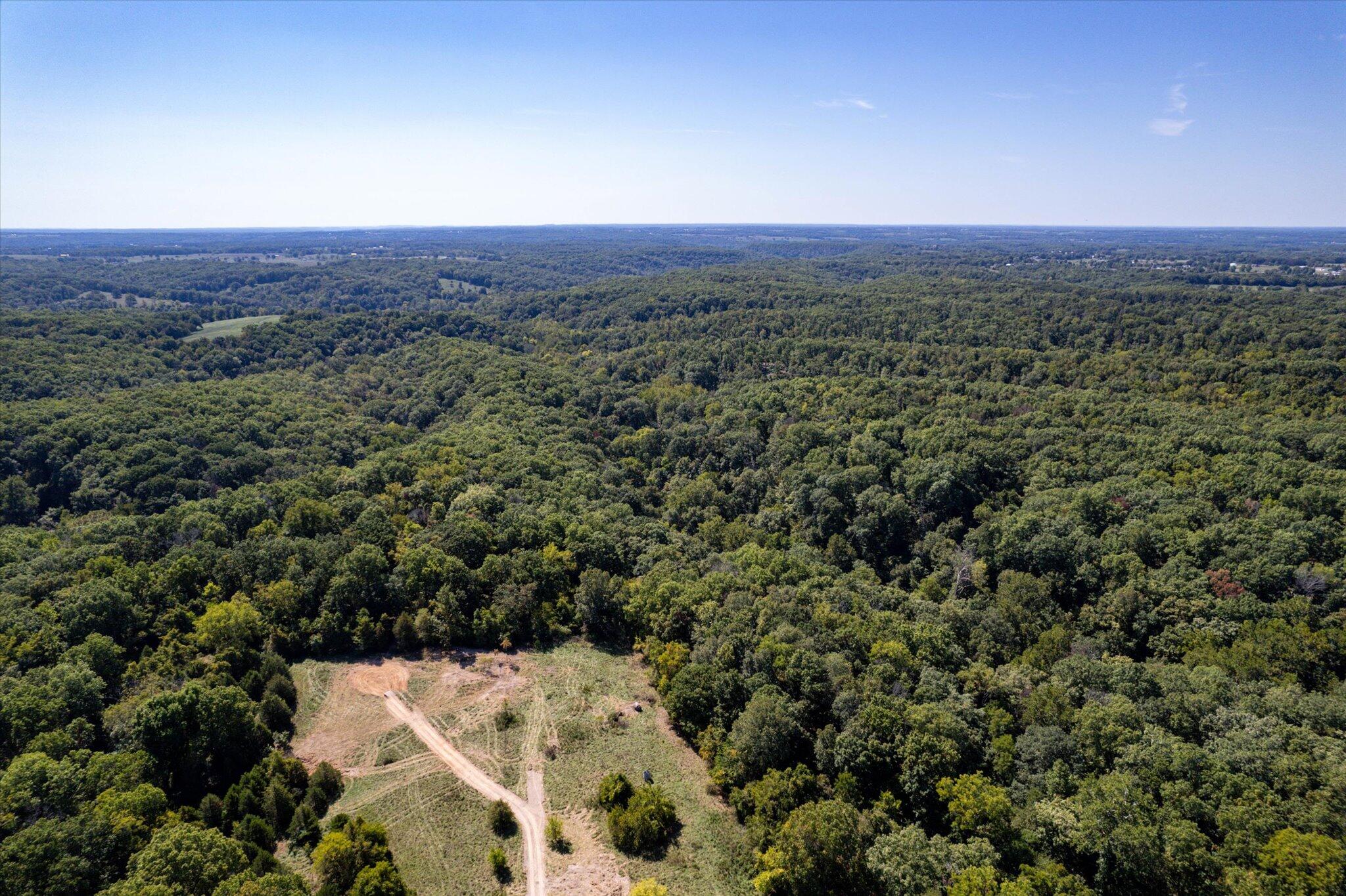 Photo 15 - Land for sale – 000  Watts Road  Rogersville, MO