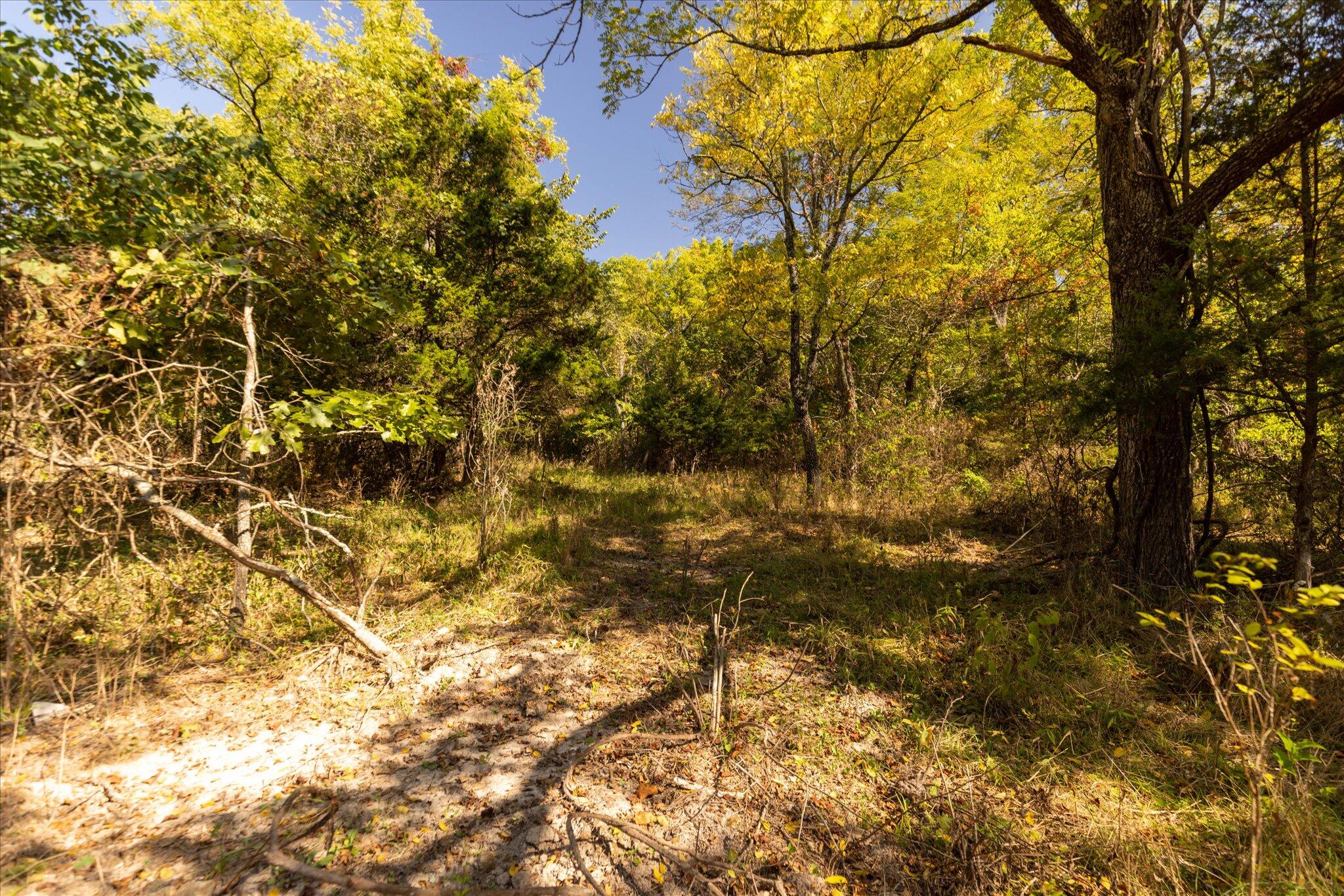 Photo 33 - Land for sale – 000  Watts Road  Rogersville, MO