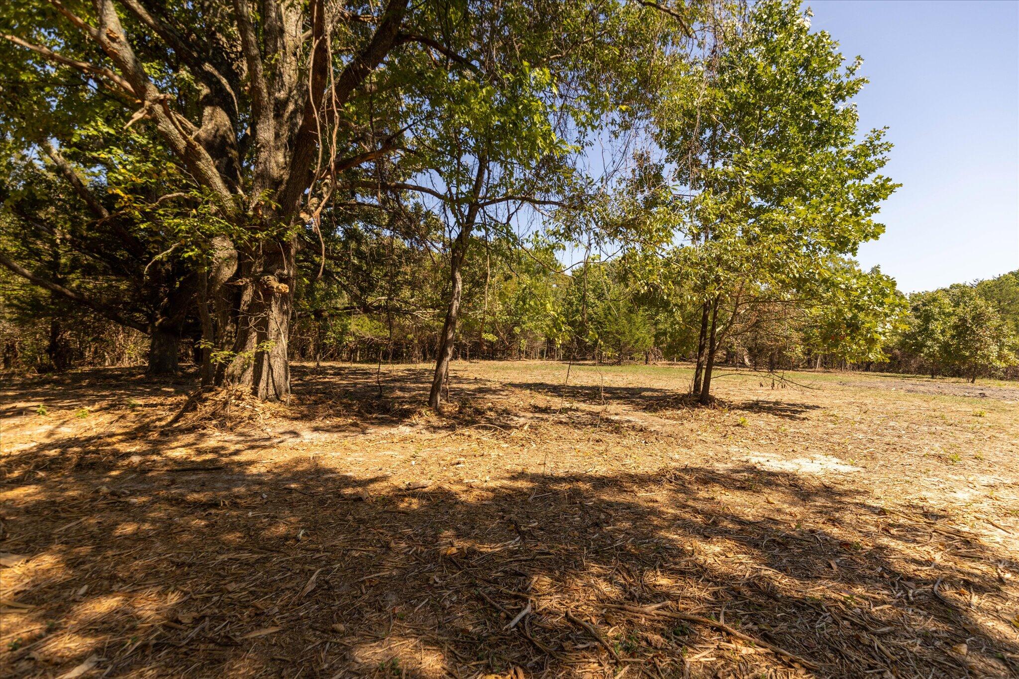 Photo 42 - Land for sale – 000  Watts Road  Rogersville, MO