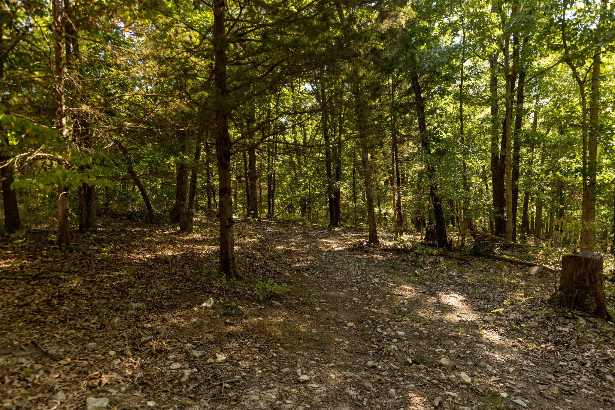 Photo 20 - Land for sale – 000  Watts Road  Rogersville, MO