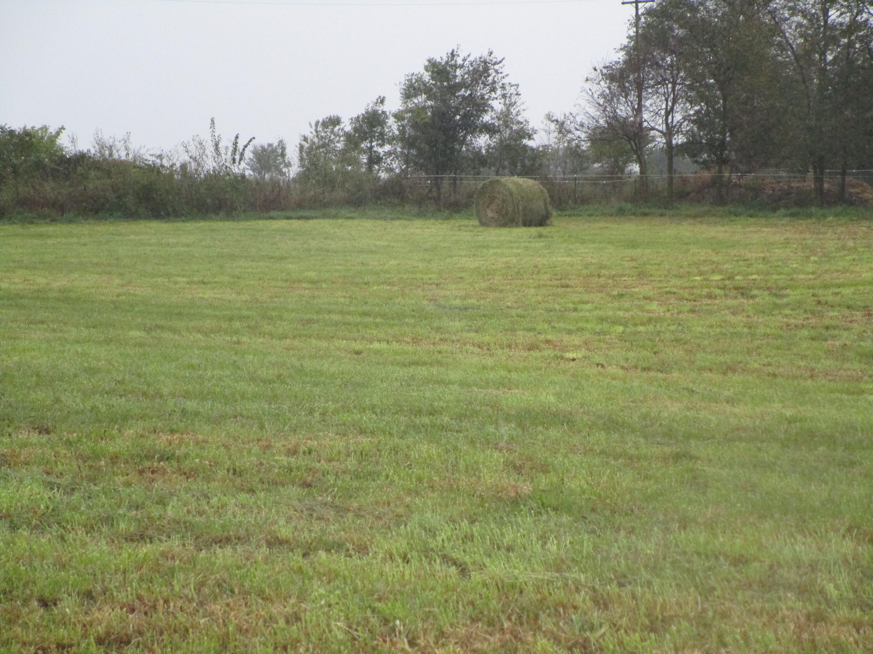 Photo 2 - Land for sale – 000  College Street  Rocky Comfort, MO