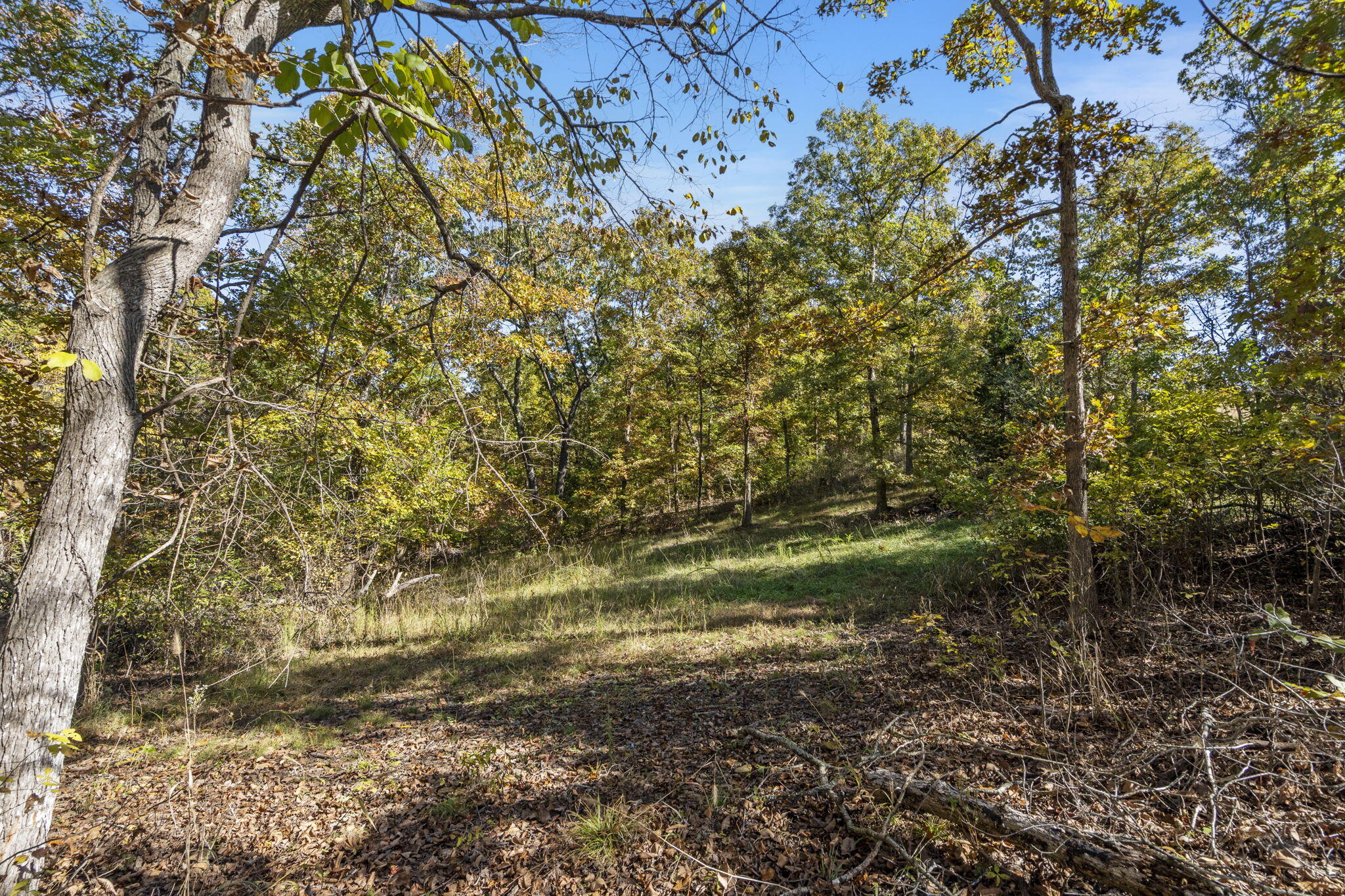 Photo 4 - Land for sale – 875  Windmill Road  Hollister, MO