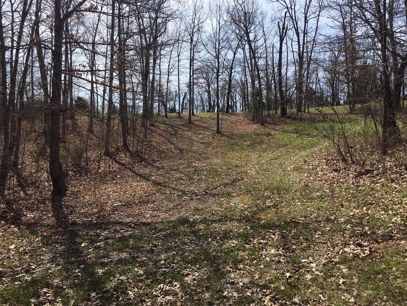 Photo 16 - Land for sale – 875  Windmill Road  Hollister, MO