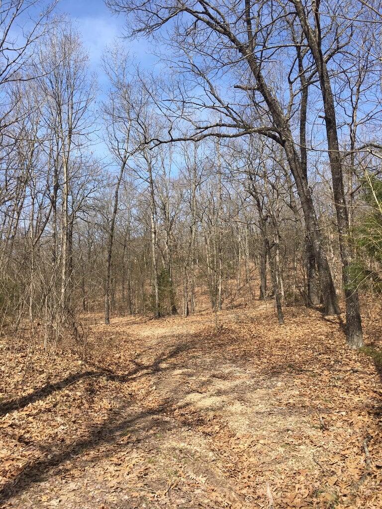 Photo 10 - Land for sale – 875  Windmill Road  Hollister, MO