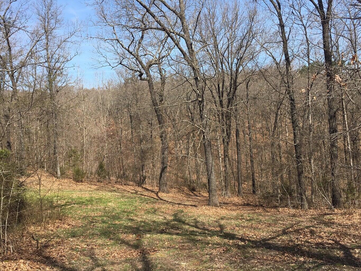 Photo 8 - Land for sale – 875  Windmill Road  Hollister, MO