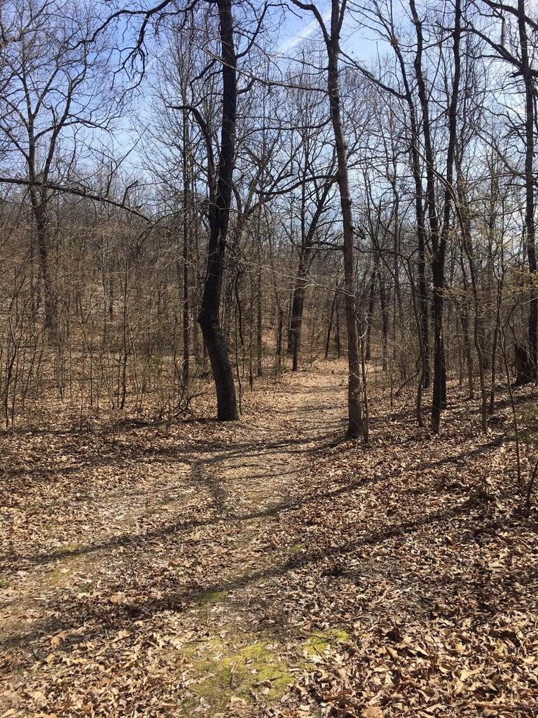 Photo 14 - Land for sale – 875  Windmill Road  Hollister, MO