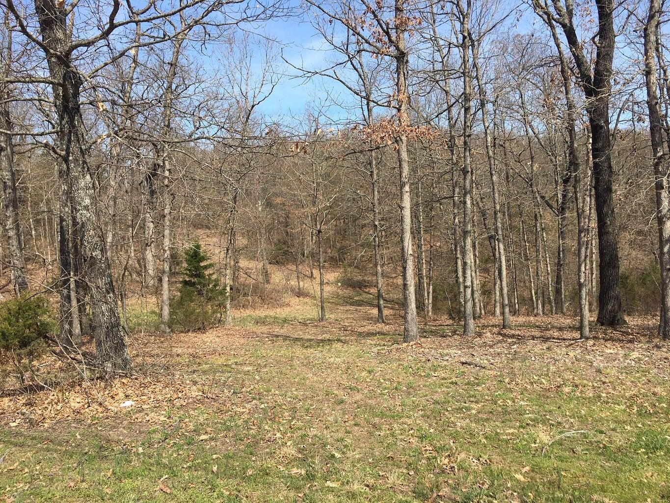 Photo 6 - Land for sale – 875  Windmill Road  Hollister, MO