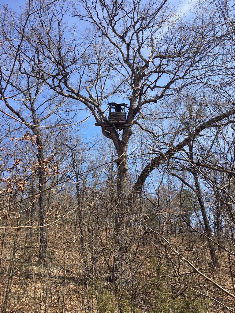 Photo 9 - Land for sale – 875  Windmill Road  Hollister, MO