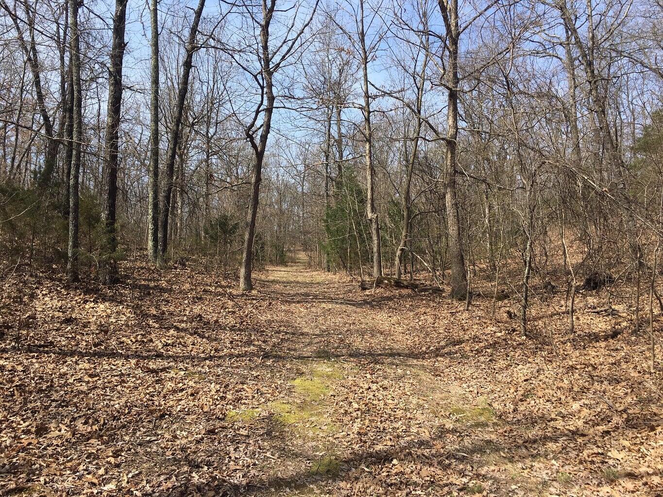 Photo 13 - Land for sale – 875  Windmill Road  Hollister, MO