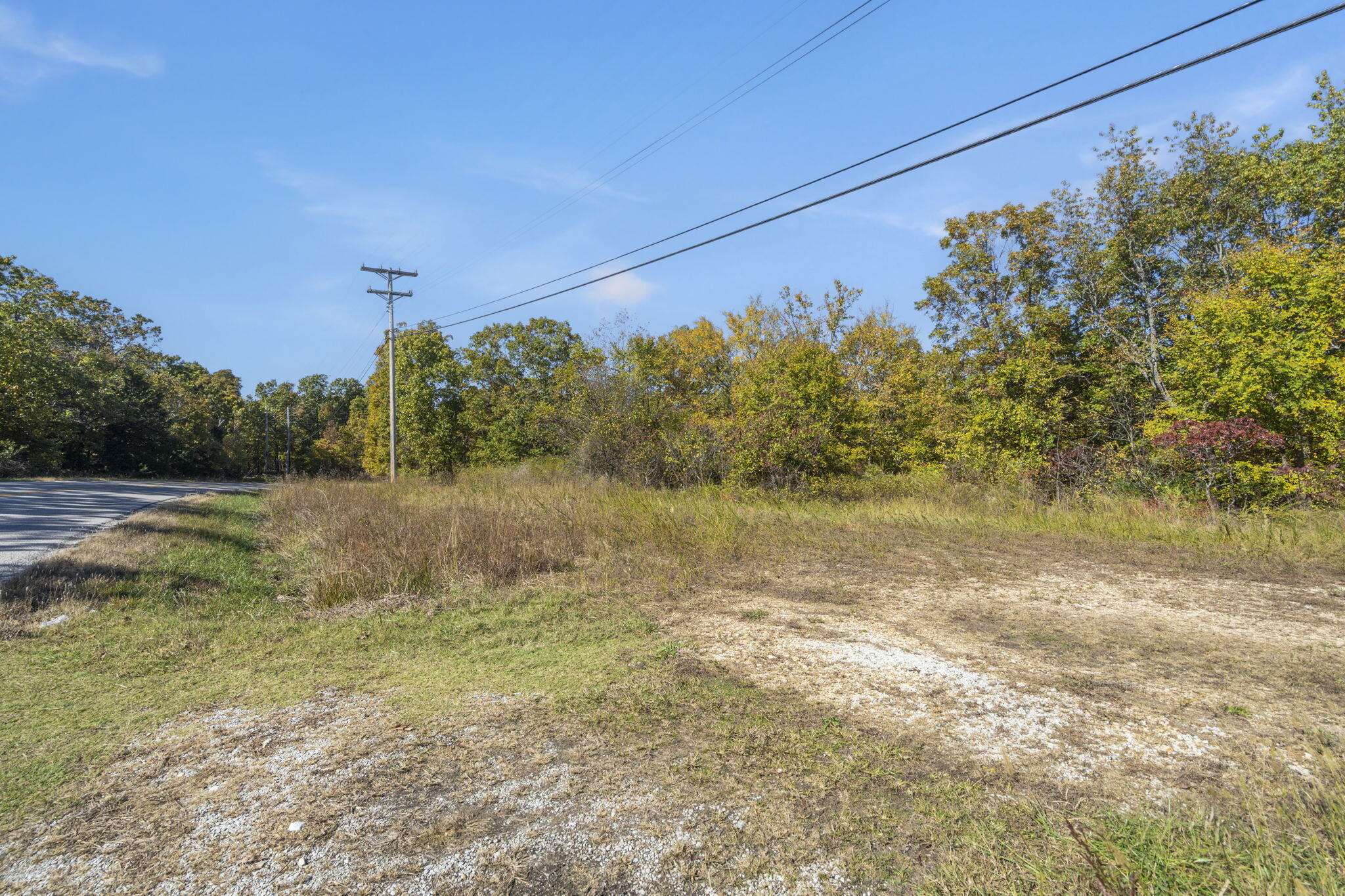 Photo 5 - Land for sale – 875  Windmill Road  Hollister, MO