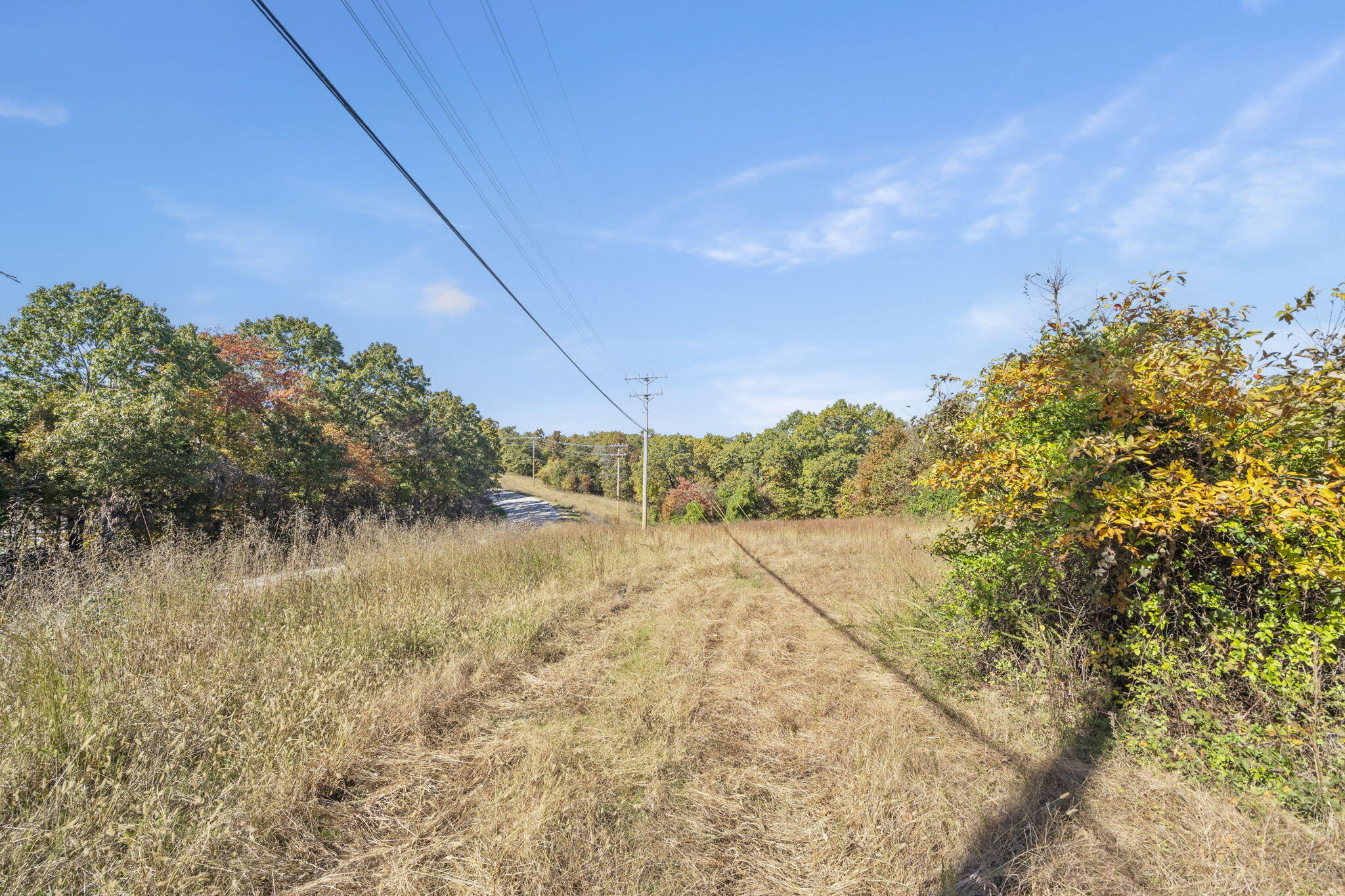 Photo 23 - Land for sale – 875  Windmill Road  Hollister, MO