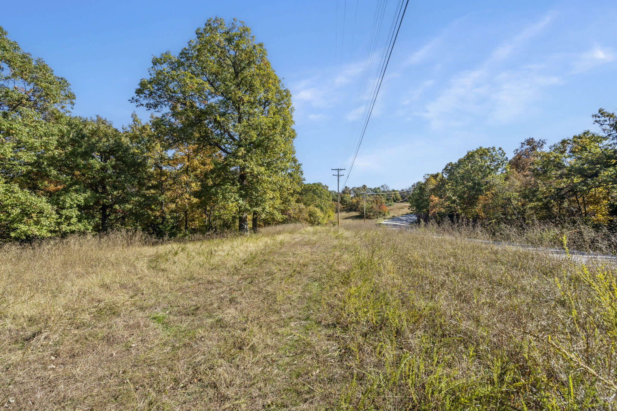 Photo 22 - Land for sale – 875  Windmill Road  Hollister, MO