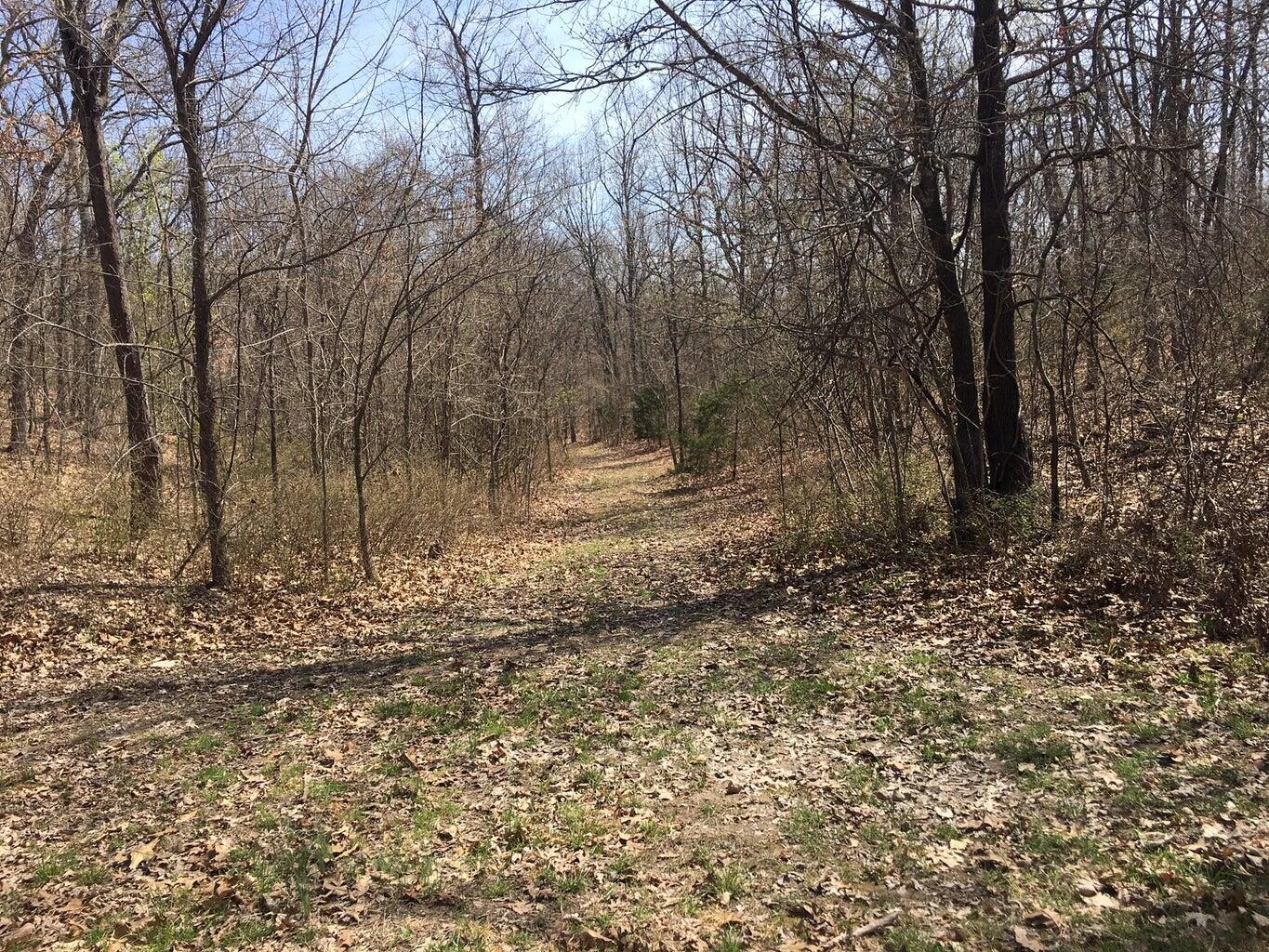 Photo 15 - Land for sale – 875  Windmill Road  Hollister, MO