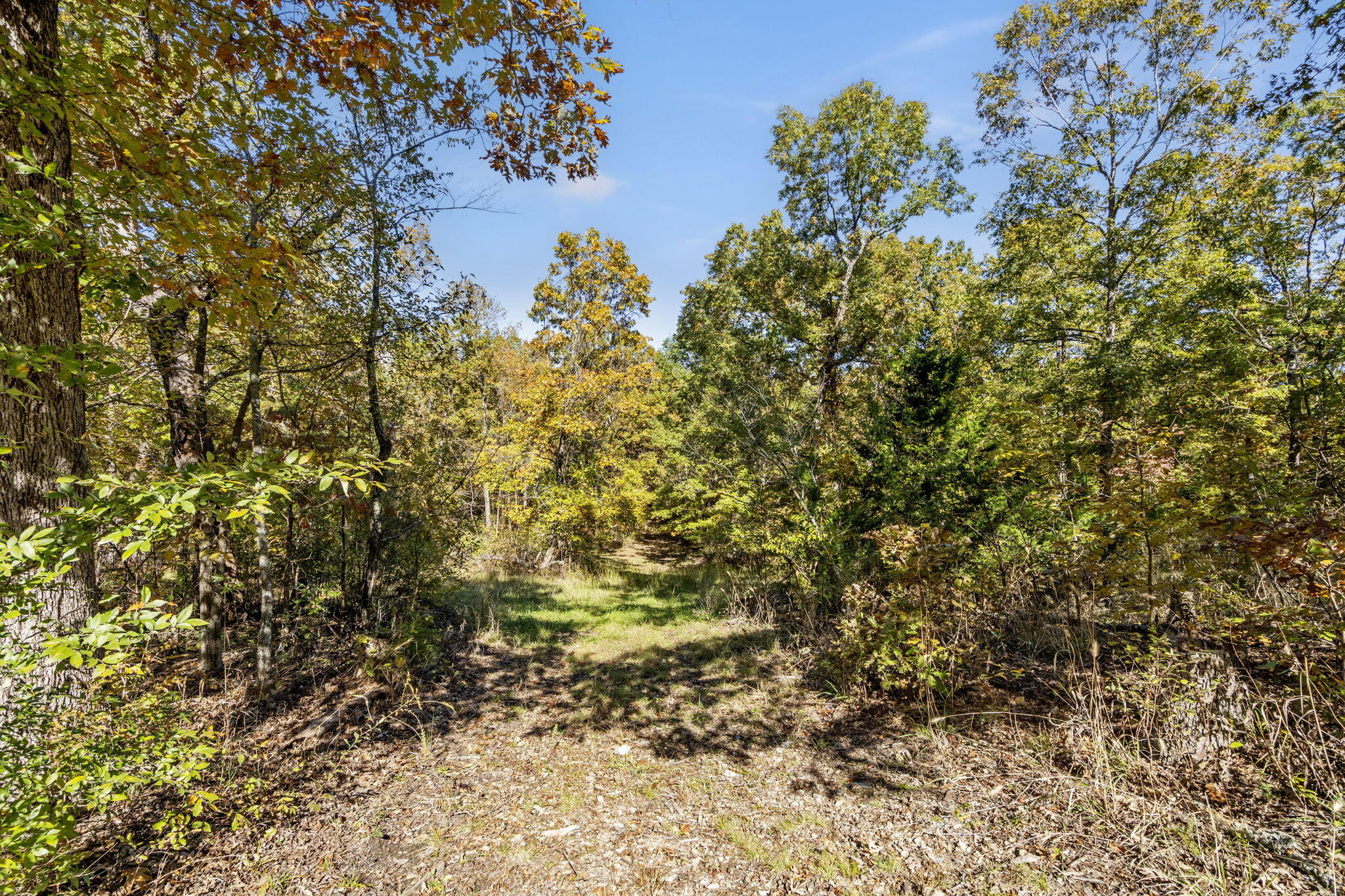 Photo 3 - Land for sale – 875  Windmill Road  Hollister, MO