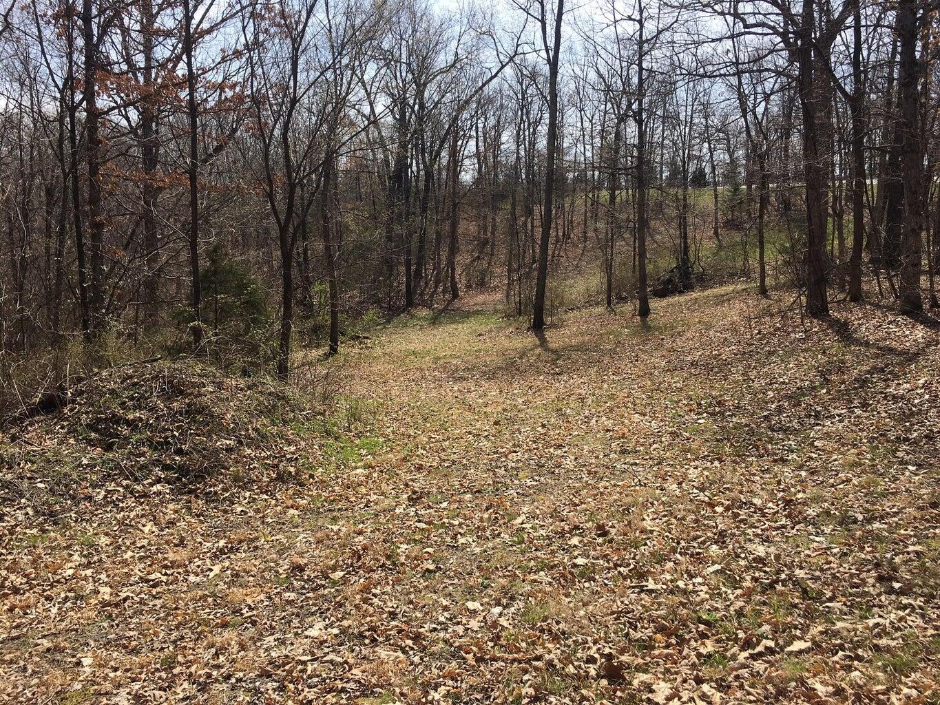 Photo 17 - Land for sale – 875  Windmill Road  Hollister, MO