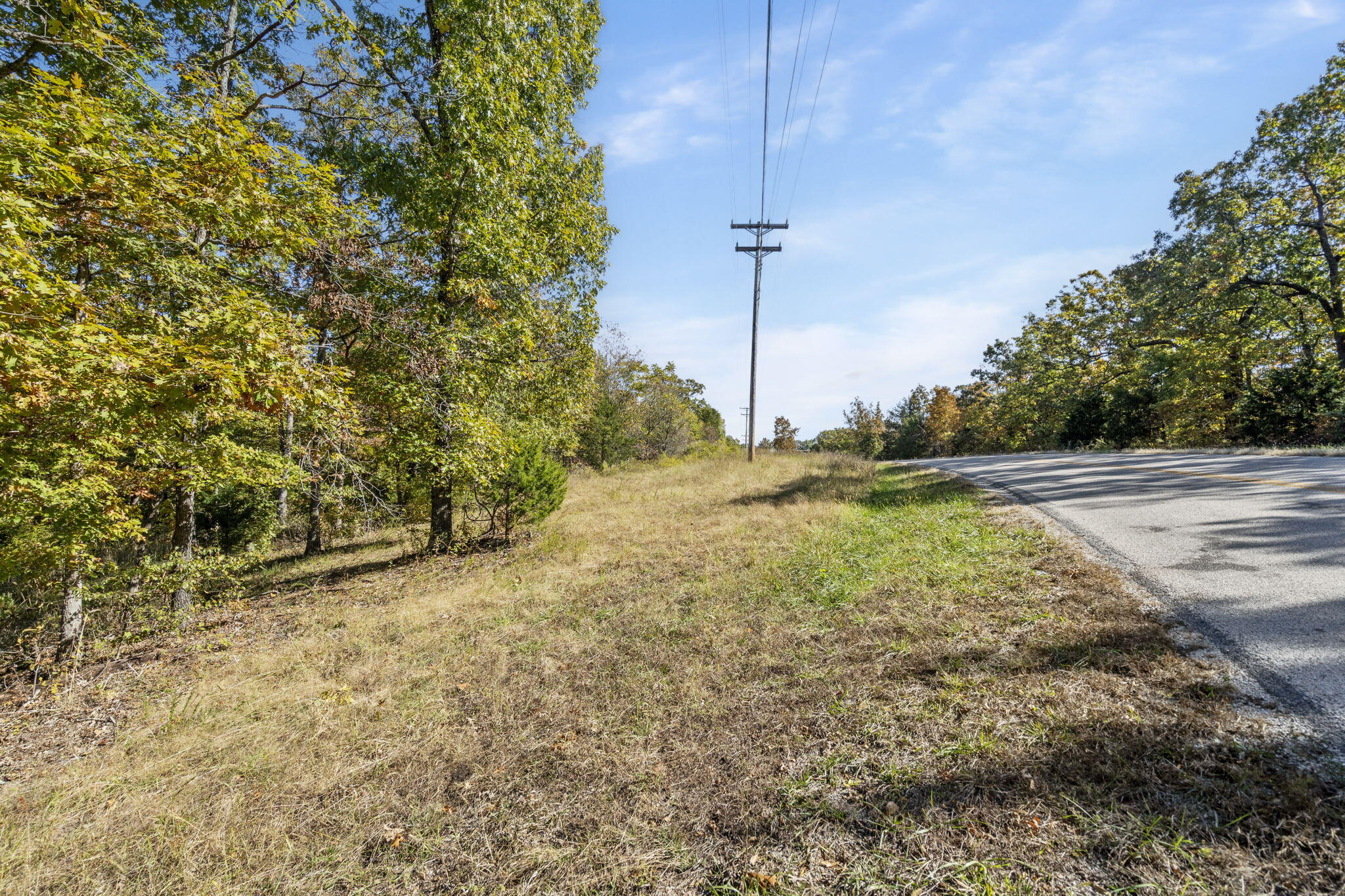 Photo 21 - Land for sale – 875  Windmill Road  Hollister, MO