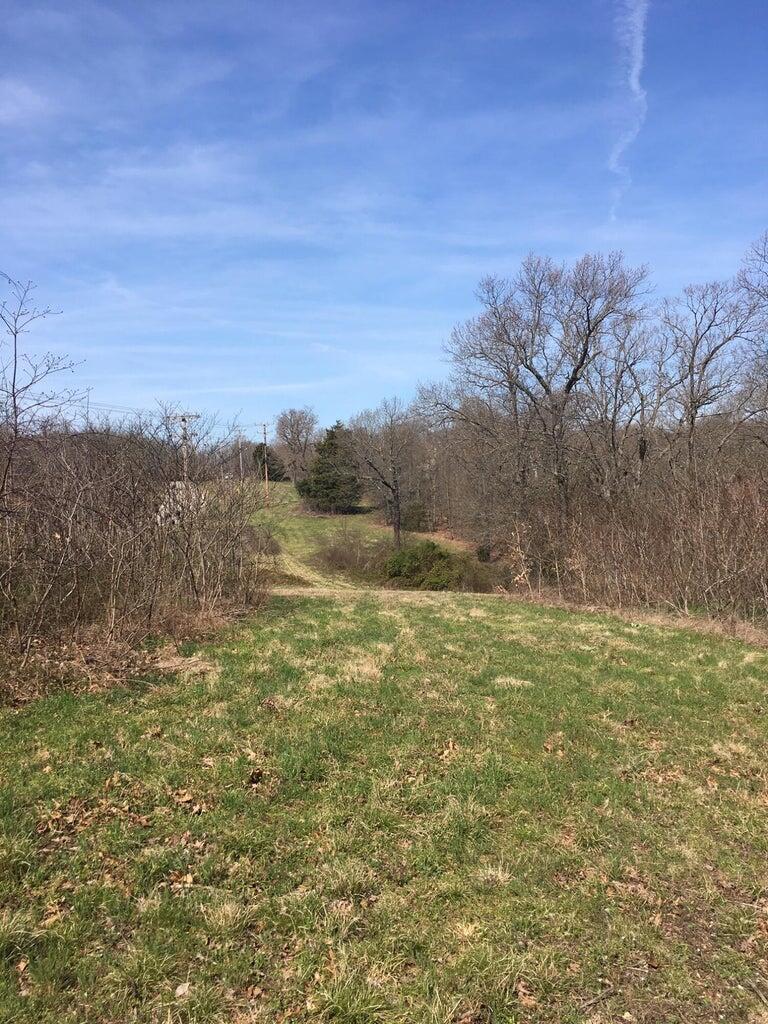 Photo 7 - Land for sale – 875  Windmill Road  Hollister, MO
