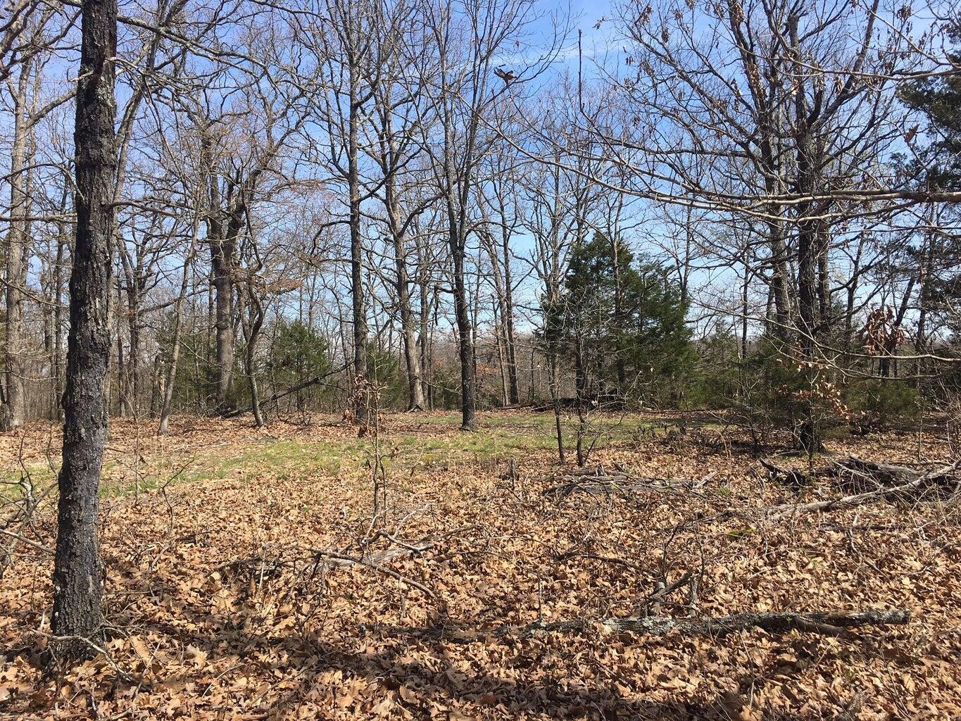 Photo 12 - Land for sale – 875  Windmill Road  Hollister, MO