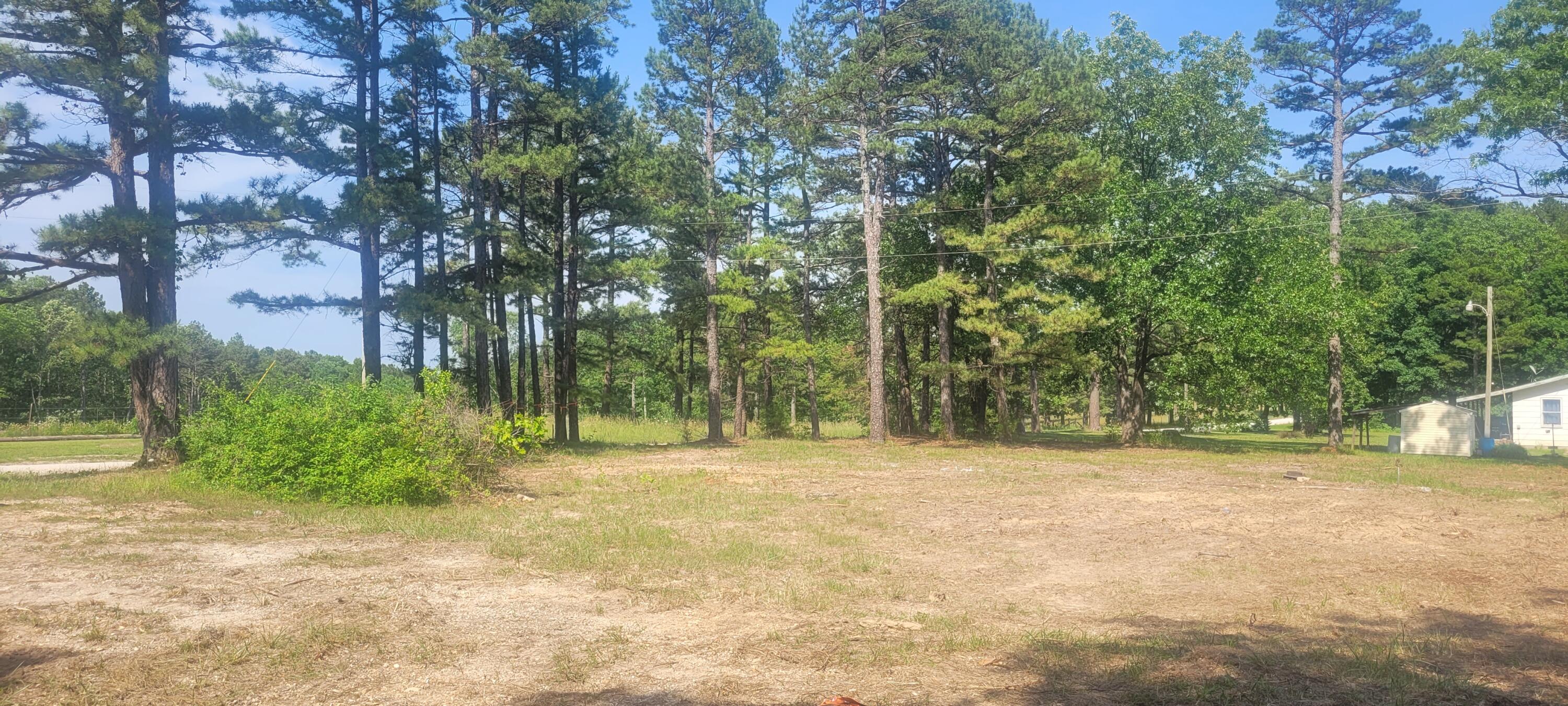 Photo 14 - Land for sale – 14730  Boiling Springs Road  Licking, MO