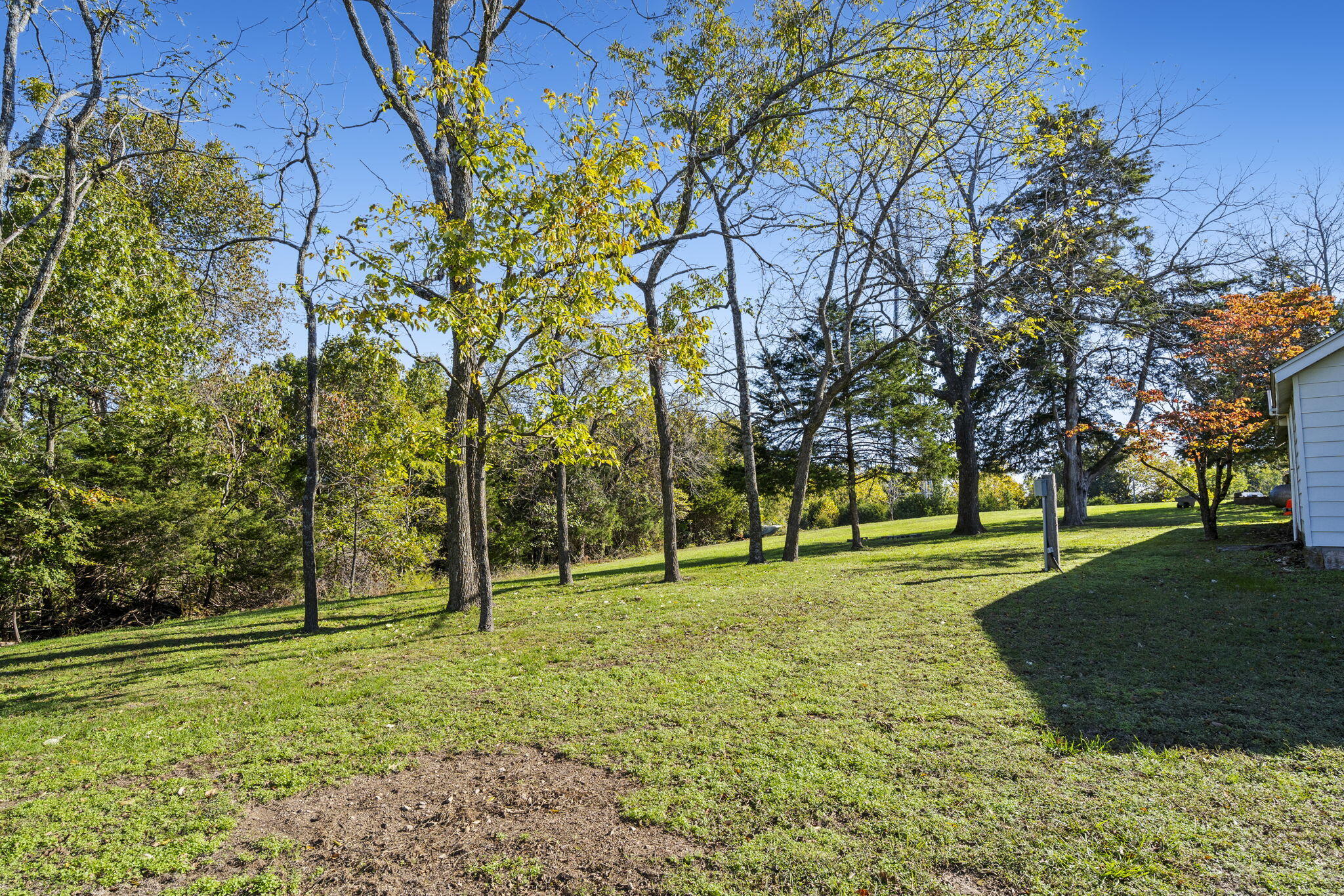 Photo 42 - Farm for sale – 4616  State Highway 265   Branson, MO