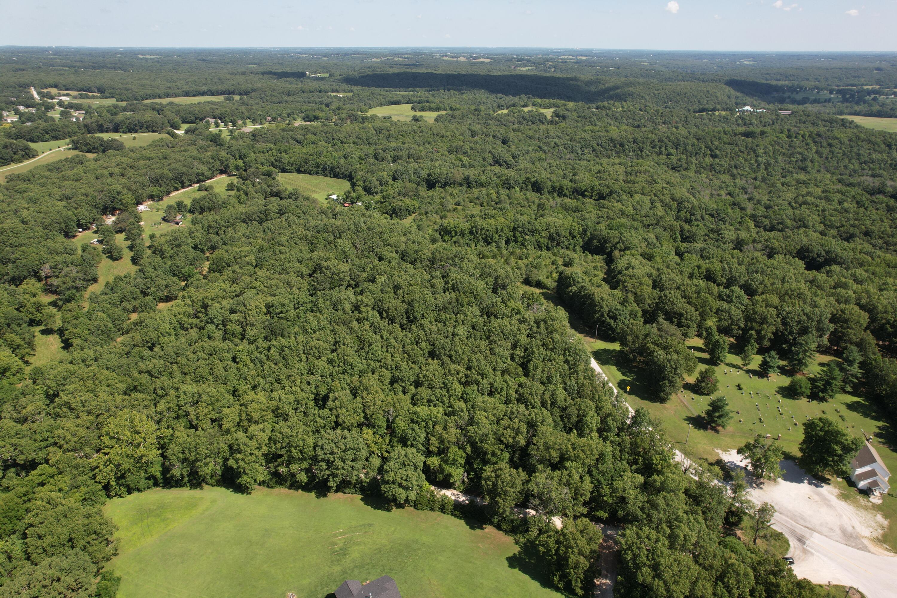 Photo 4 - Land for sale – 000  State Hwy M   Clever, MO