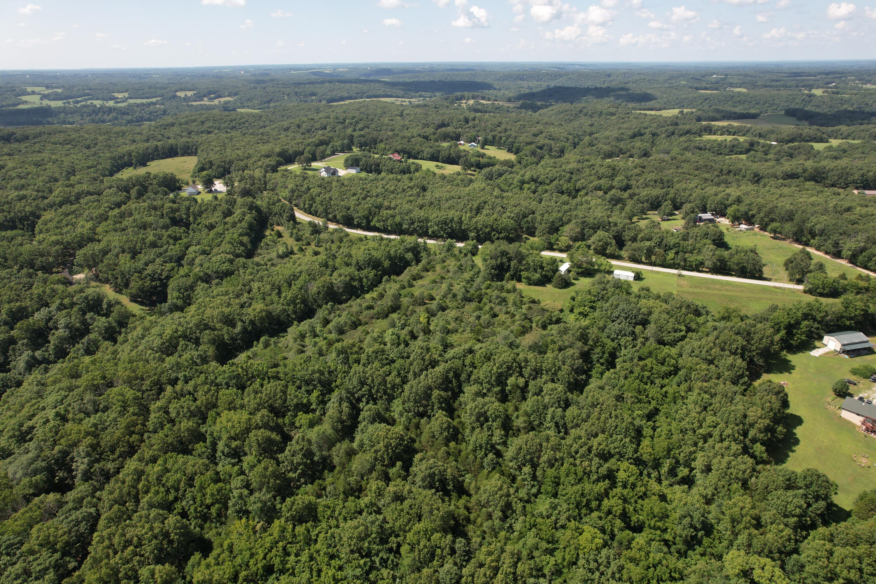 Photo 13 - Land for sale – 000  State Hwy M   Clever, MO
