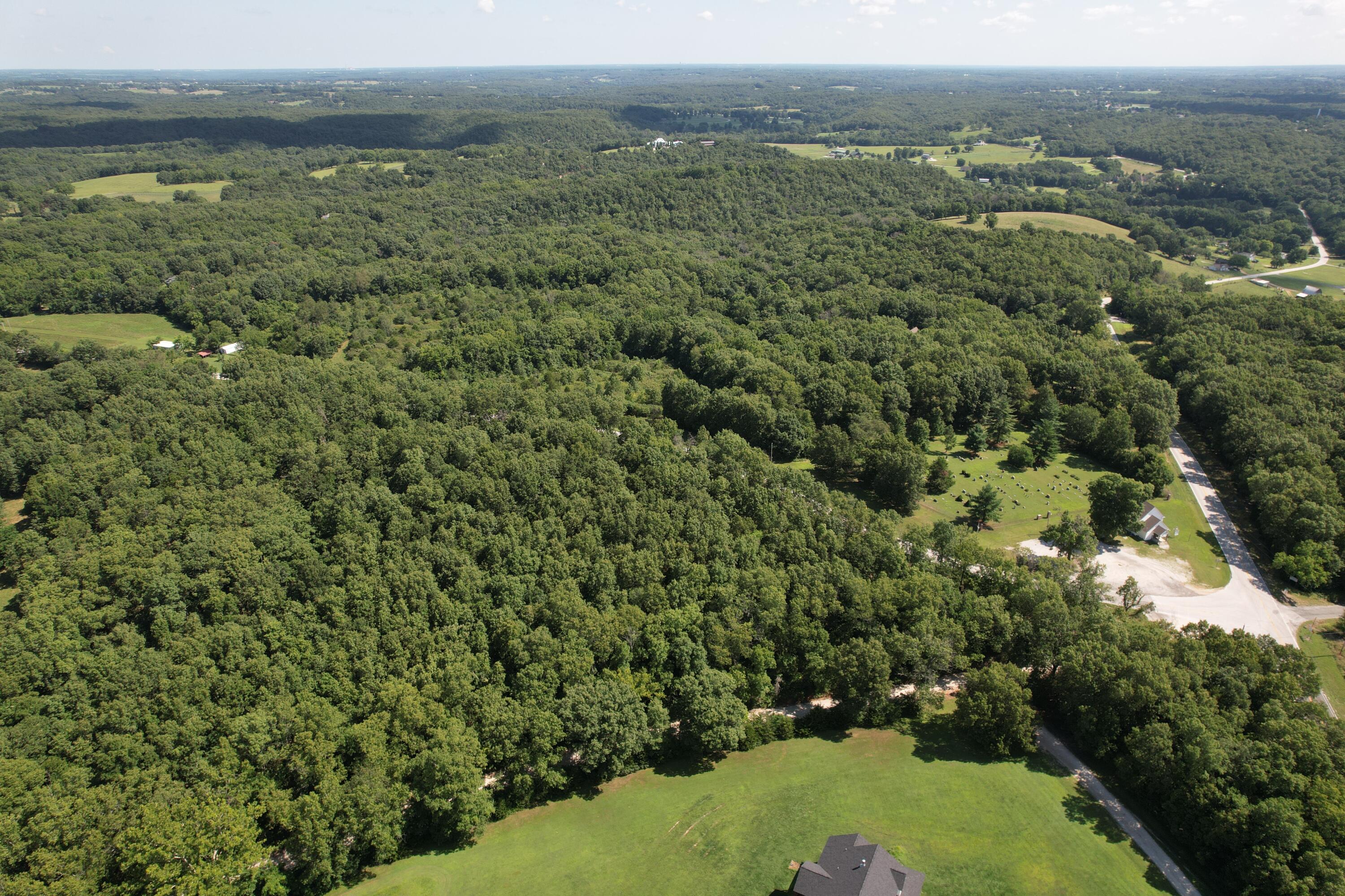 Photo 8 - Land for sale – 000  State Hwy M   Clever, MO