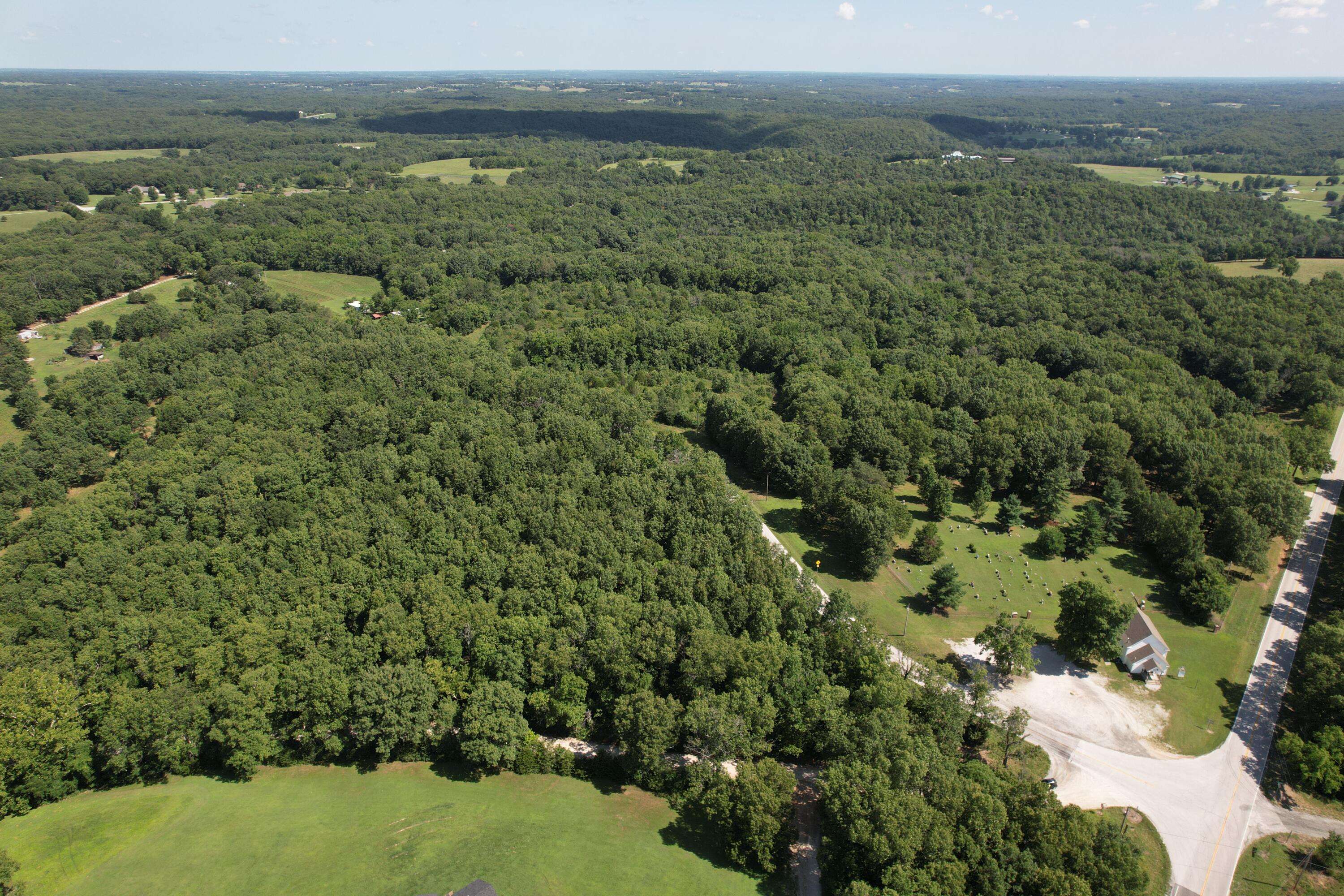 Photo 6 - Land for sale – 000  State Hwy M   Clever, MO