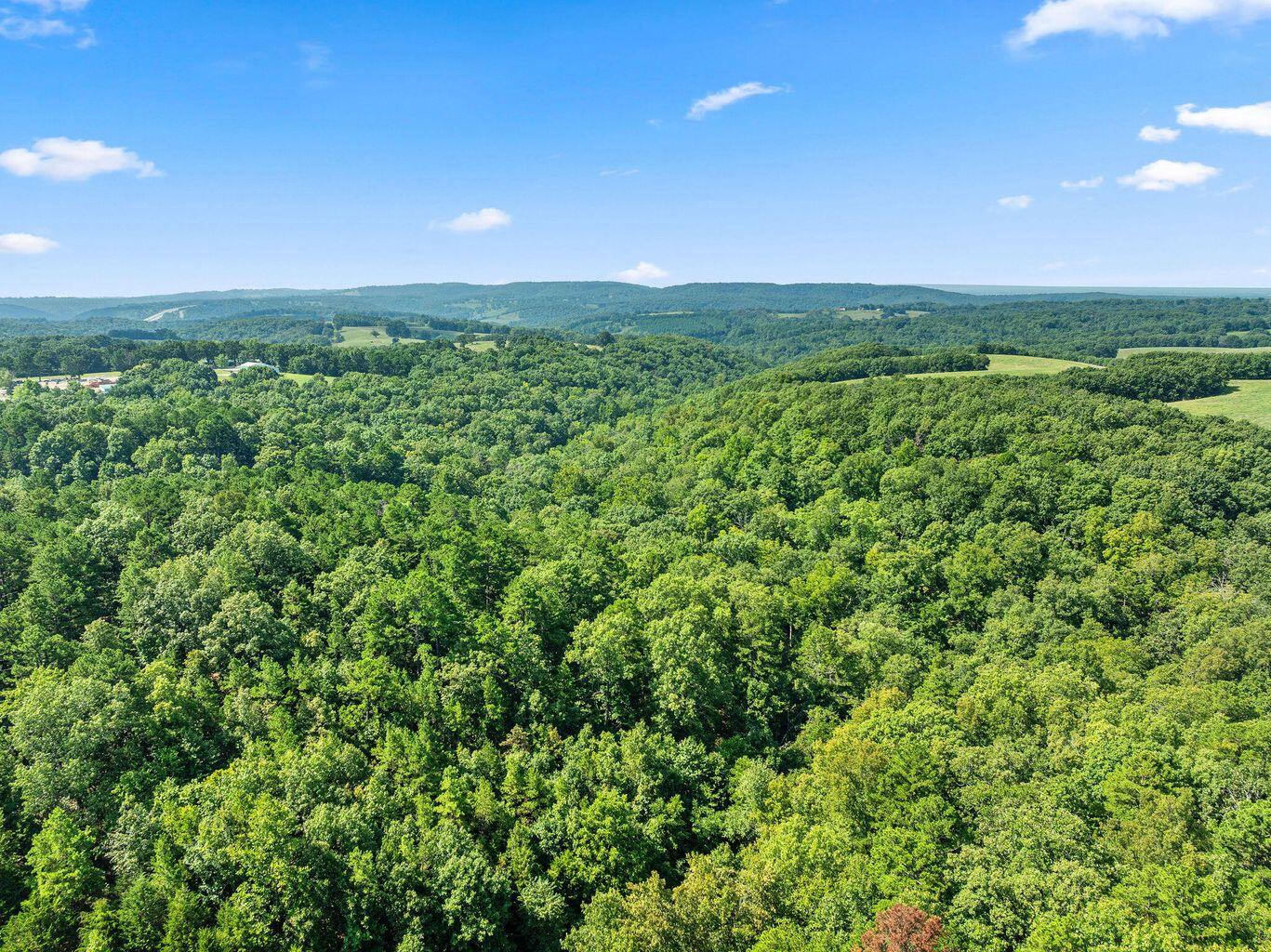 Photo 8 - Land for sale – 000 N 65 Highway  Omaha, AR
