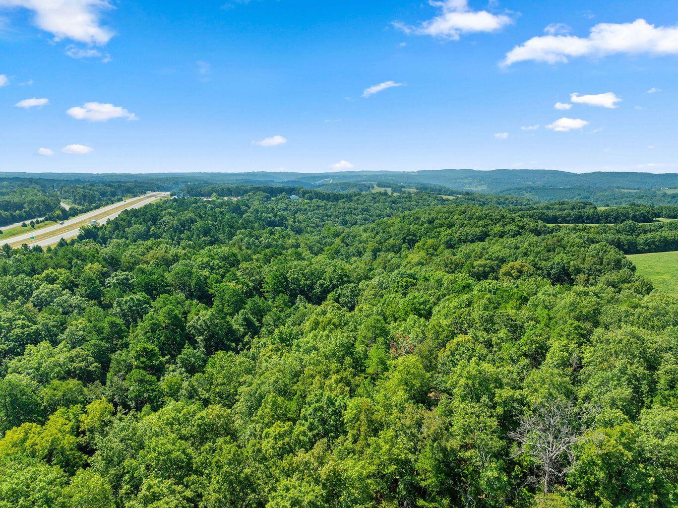Photo 11 - Land for sale – 000 N 65 Highway  Omaha, AR