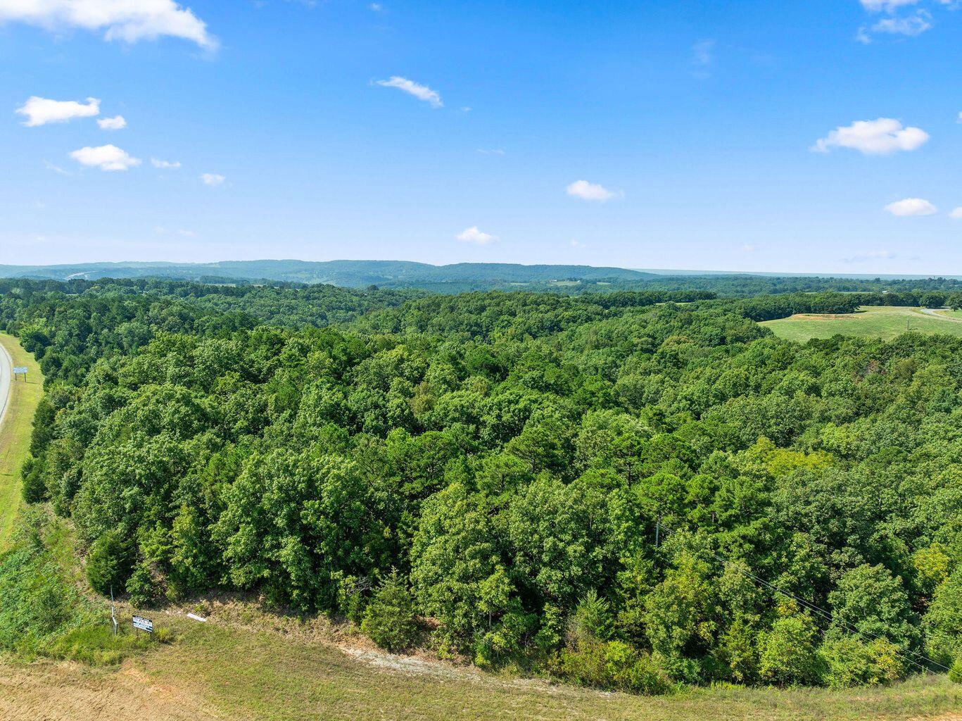 Photo 9 - Land for sale – 000 N 65 Highway  Omaha, AR