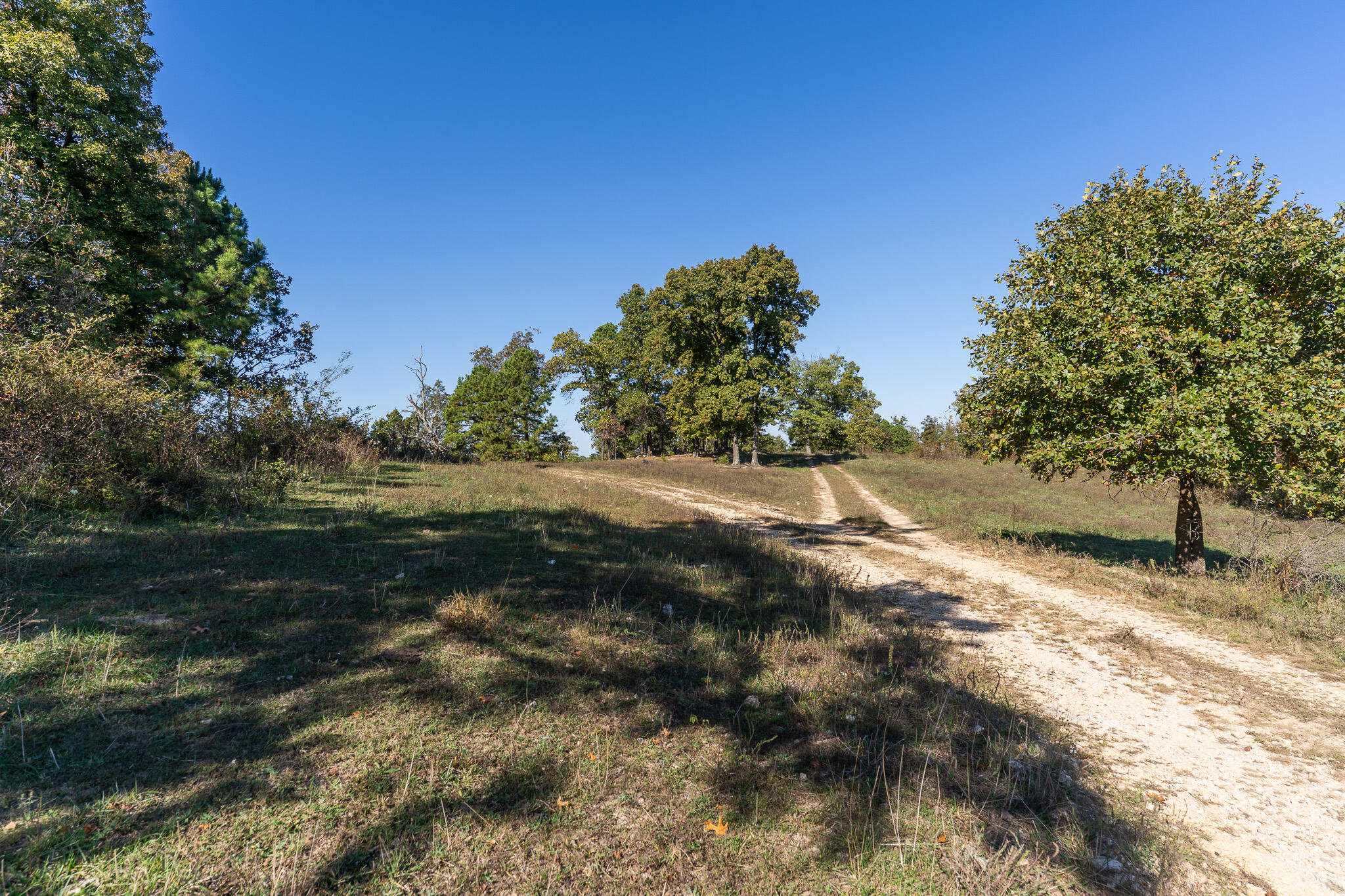 Photo 2 - Land for sale – 000  County Road 1130   Willow Springs, MO