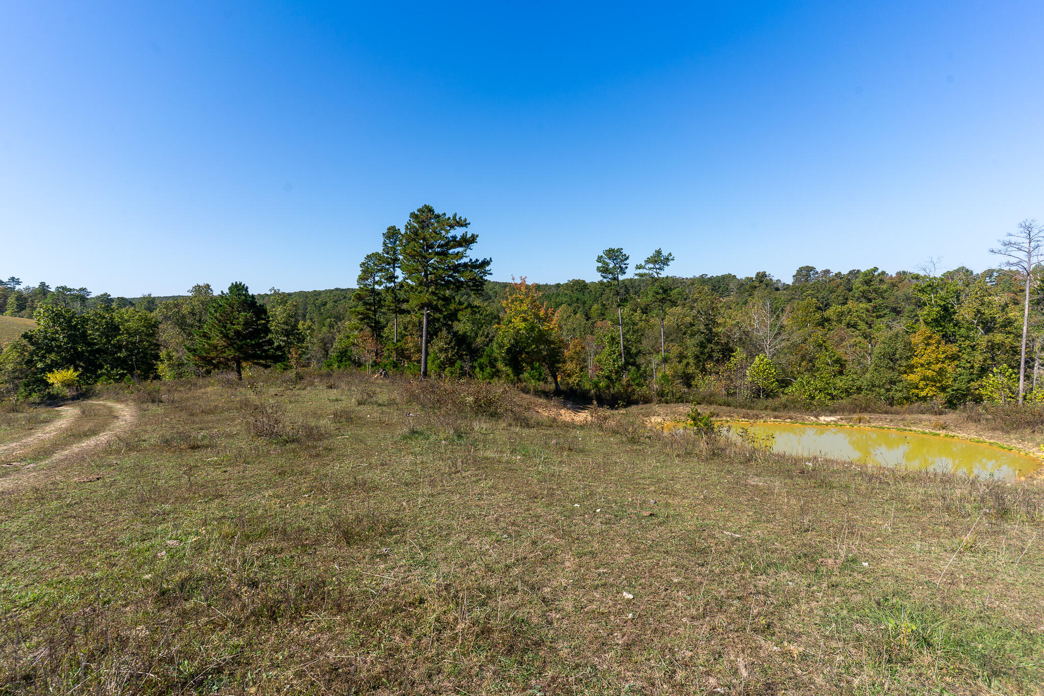 Photo 15 - Land for sale – 000  County Road 1130   Willow Springs, MO
