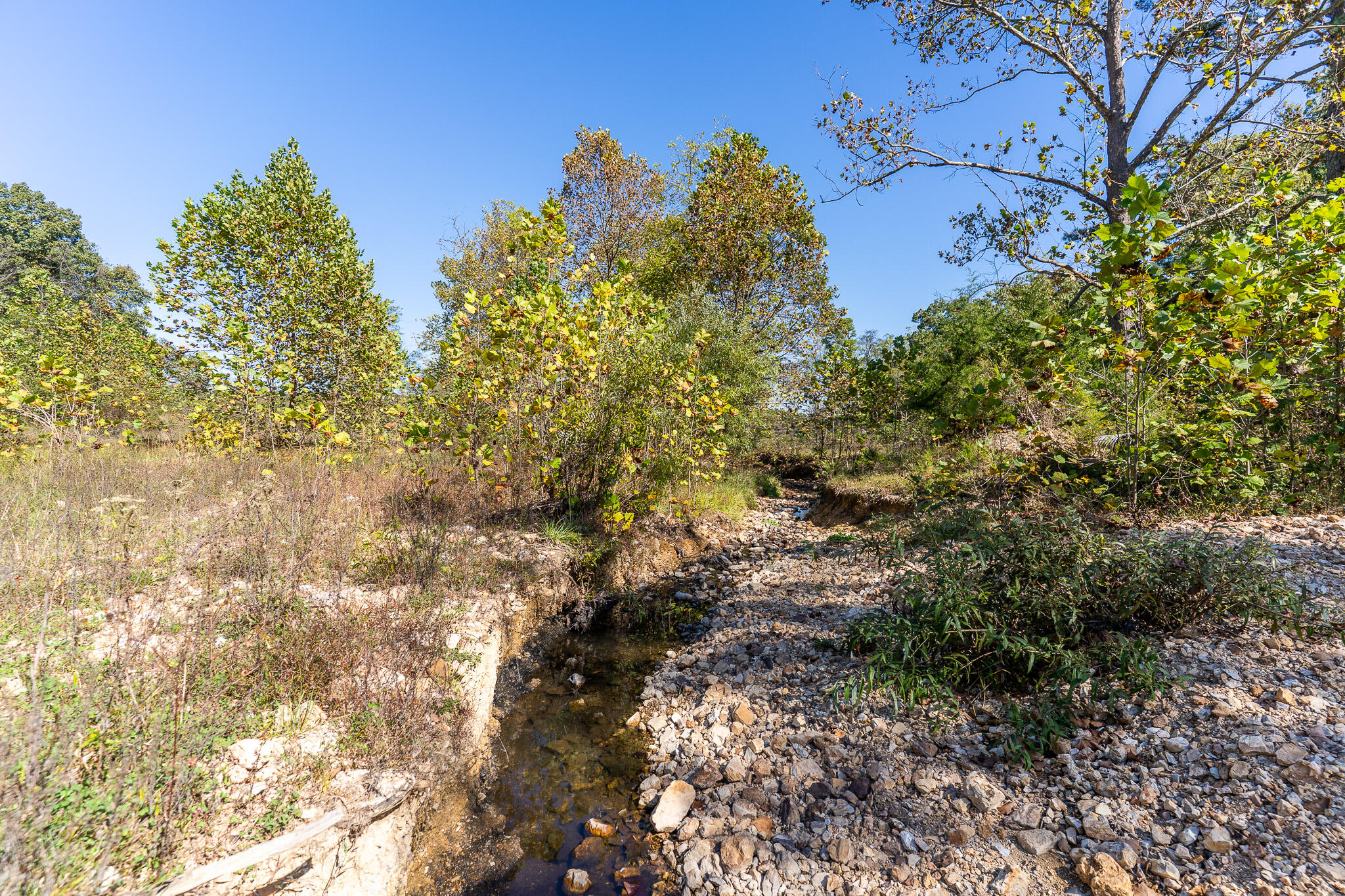 Photo 21 - Land for sale – 000  County Road 1130   Willow Springs, MO