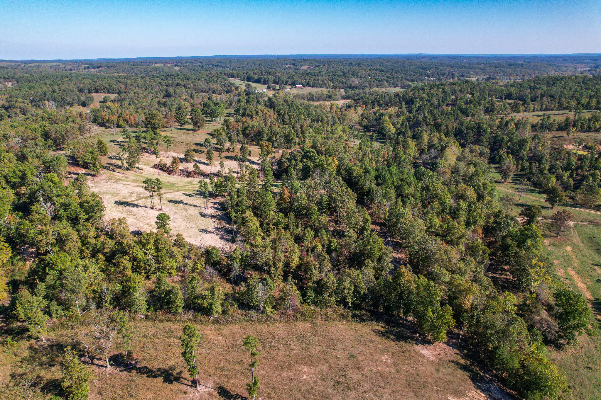 Photo 30 - Land for sale – 000  County Road 1130   Willow Springs, MO