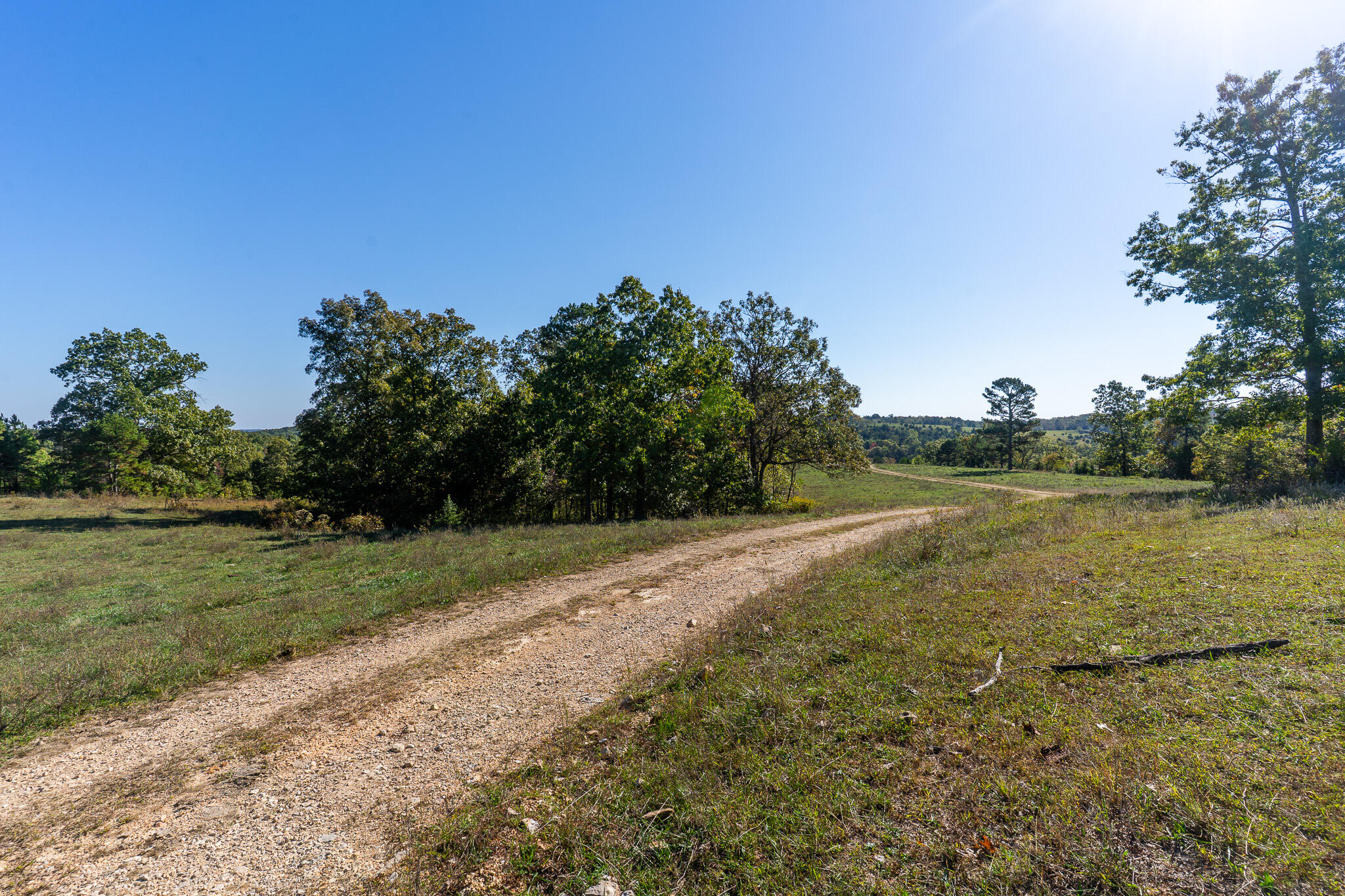 Land for sale – 000 County Road 1130 Willow Springs, MO