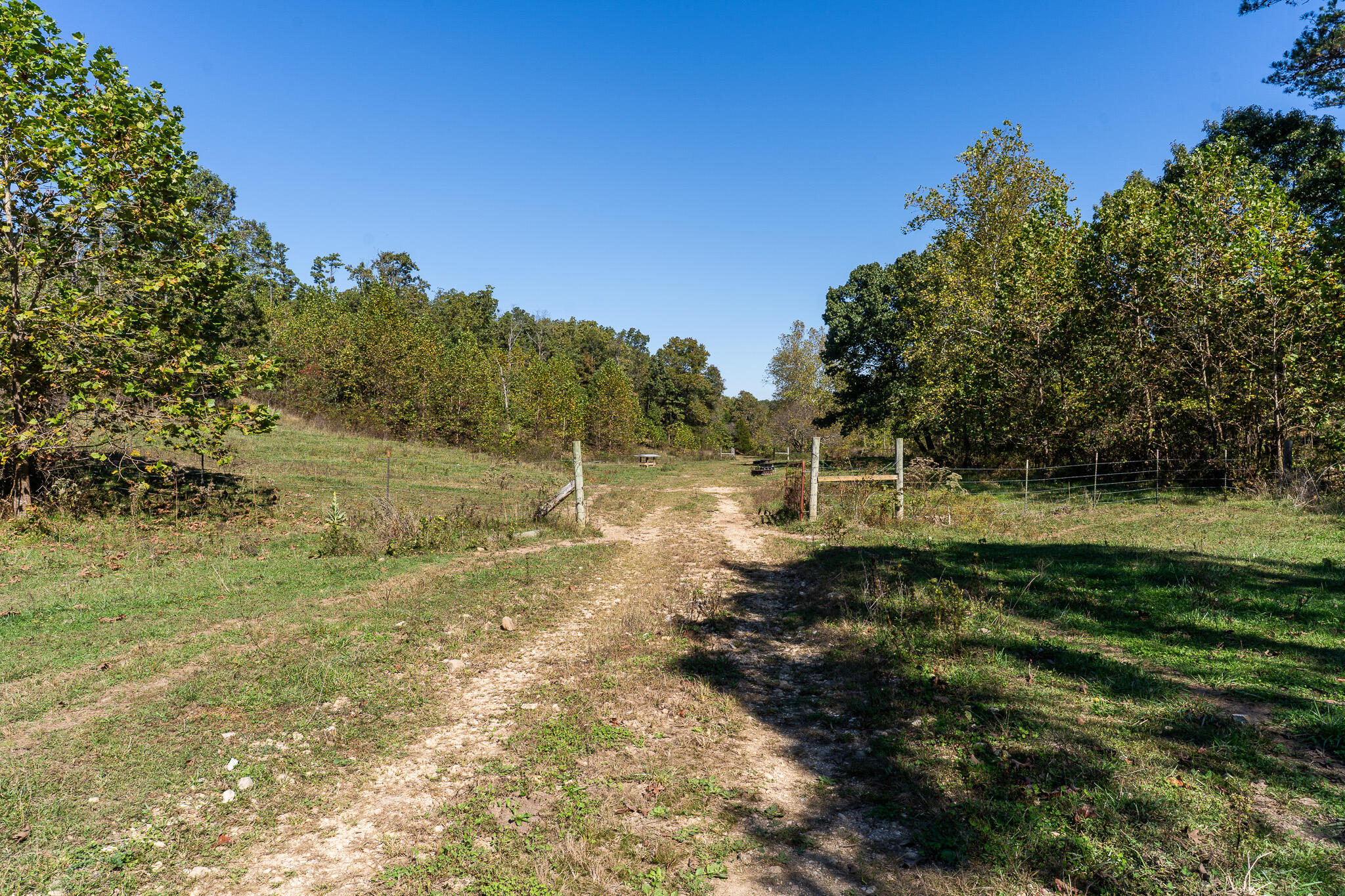 Photo 16 - Land for sale – 000  County Road 1130   Willow Springs, MO