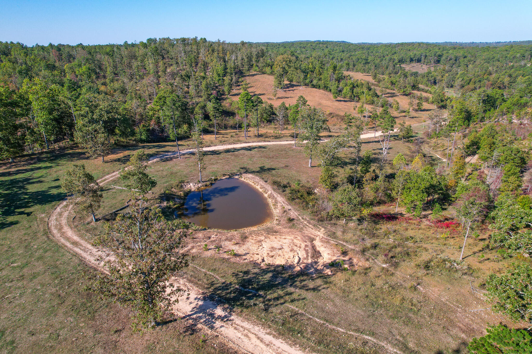 Photo 26 - Land for sale – 000  County Road 1130   Willow Springs, MO