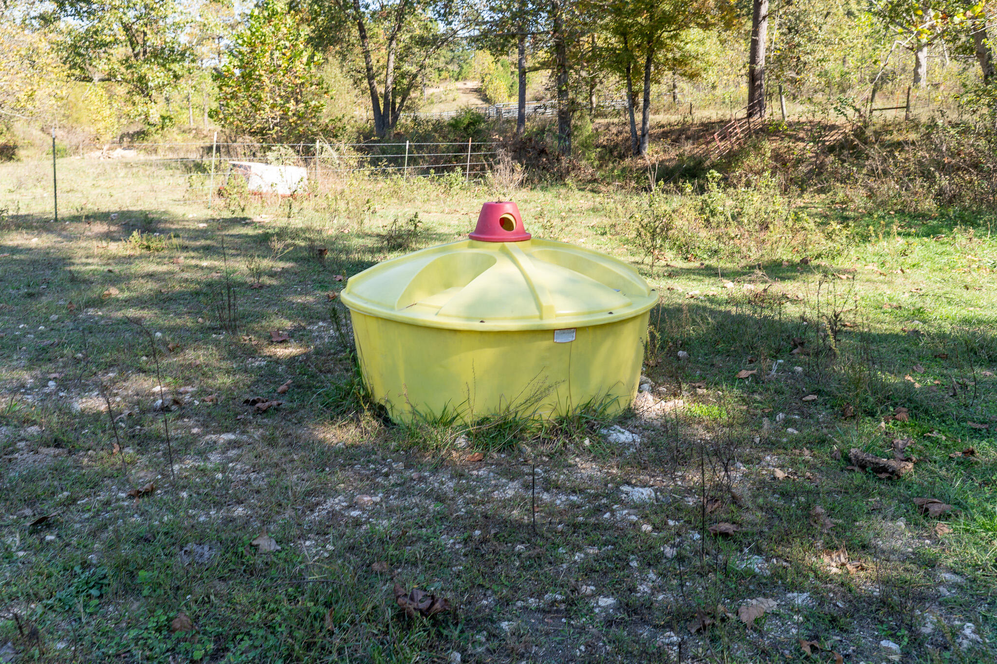 Photo 18 - Land for sale – 000  County Road 1130   Willow Springs, MO
