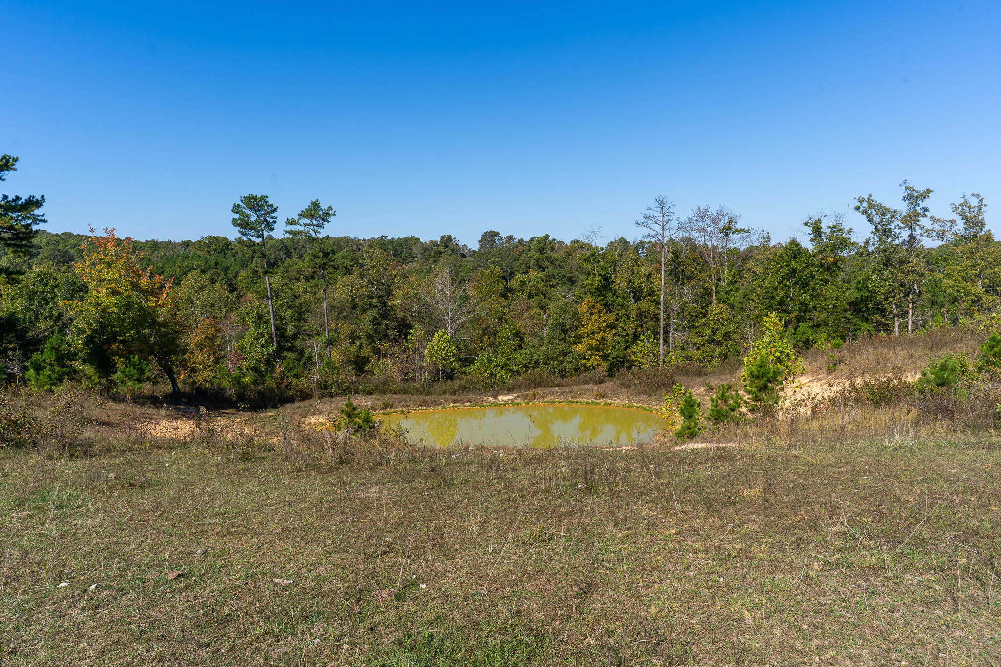 Photo 14 - Land for sale – 000  County Road 1130   Willow Springs, MO